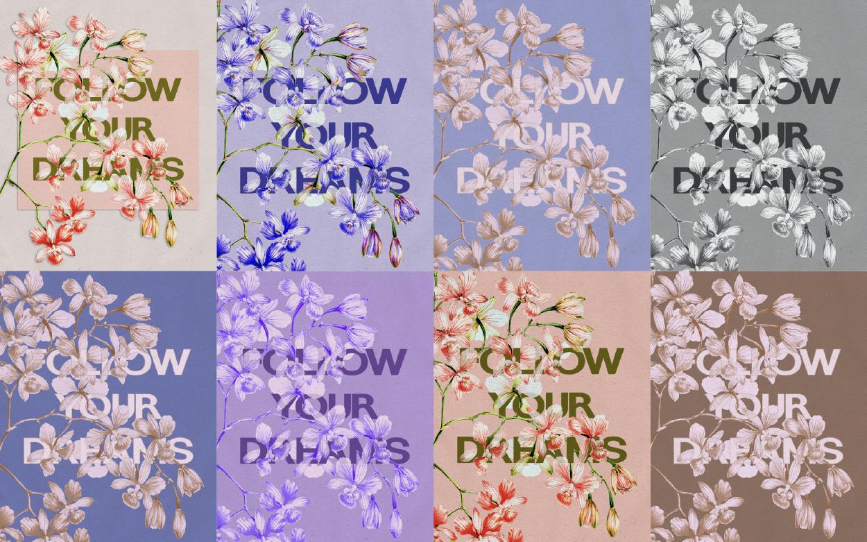 Botanical Greeting Cards - image 3 - student project