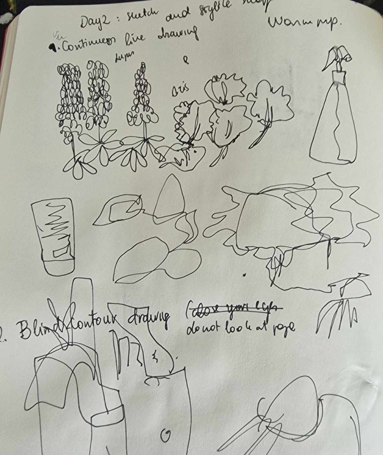 Flowers and mountains landscape - image 4 - student project