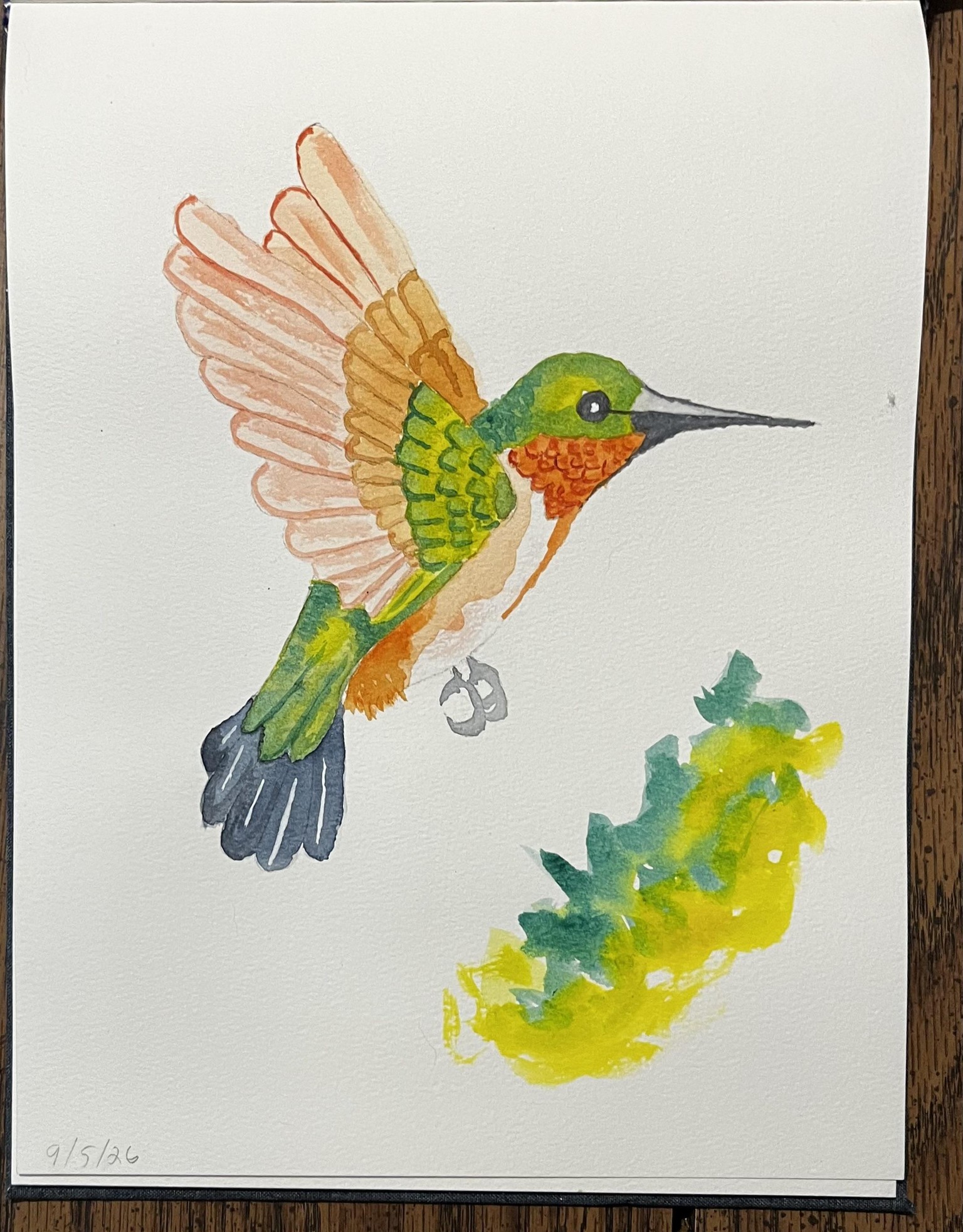 Birds - image 2 - student project