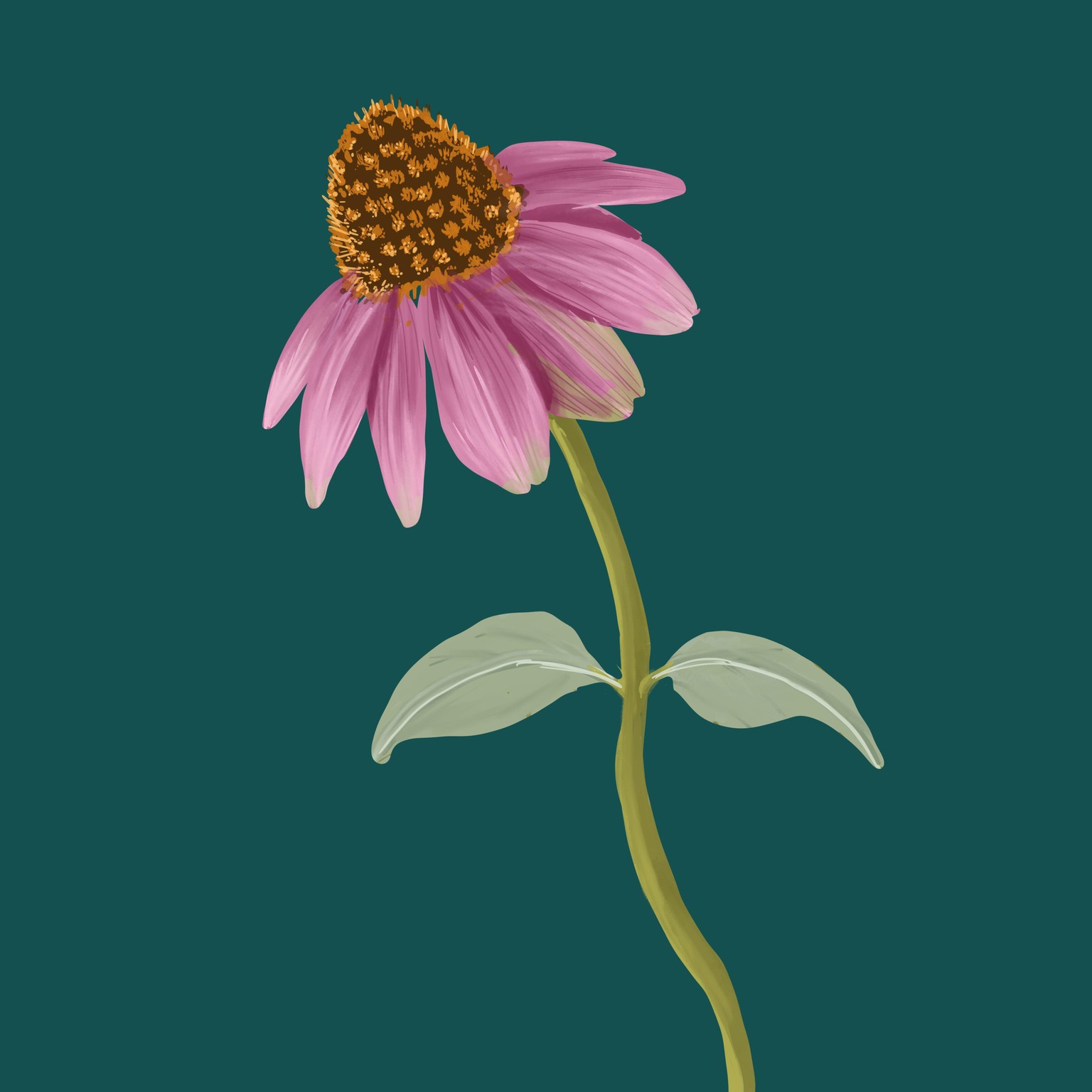 some pretty flowers - image 4 - student project