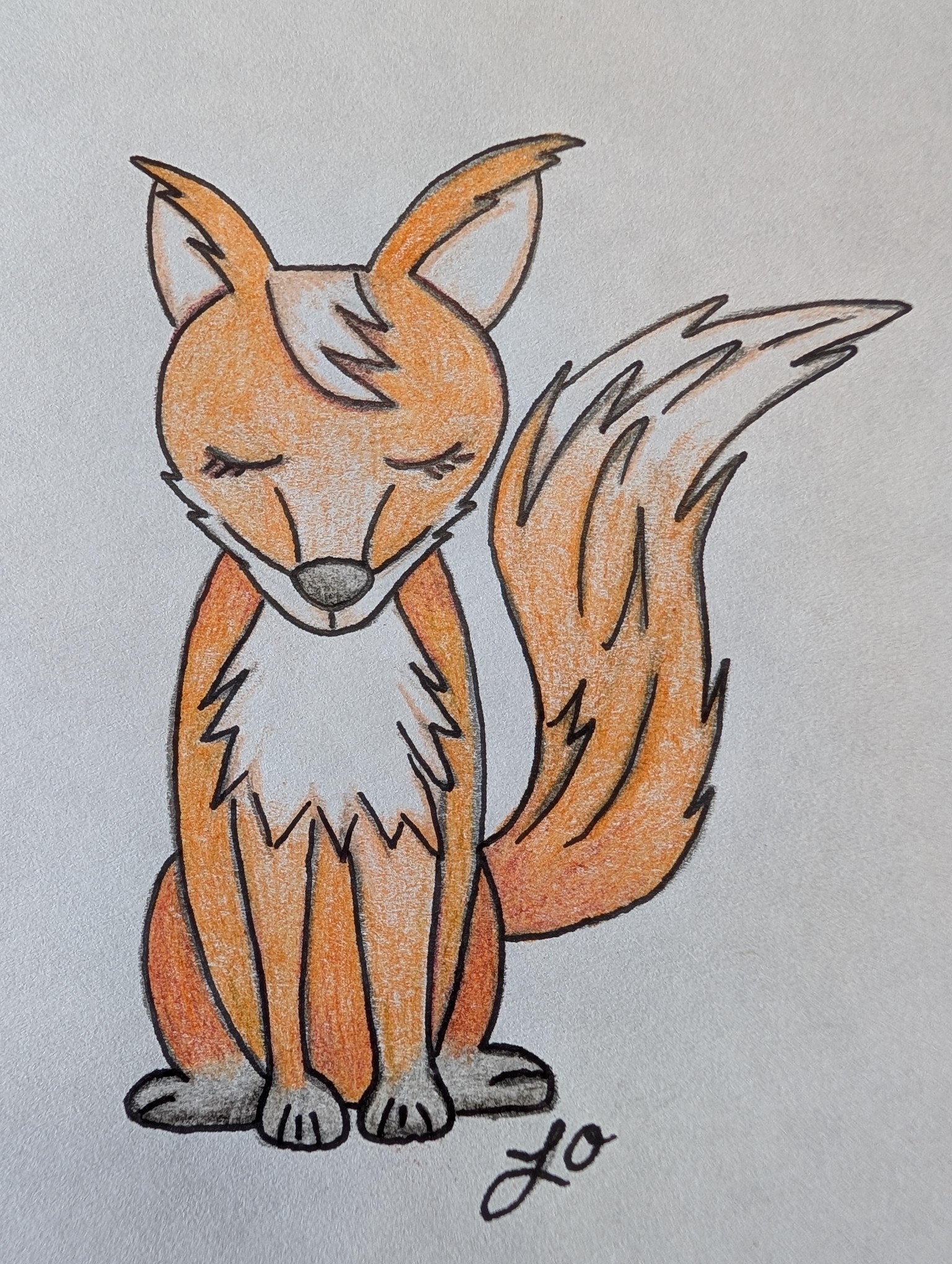 she fox - image 1 - student project