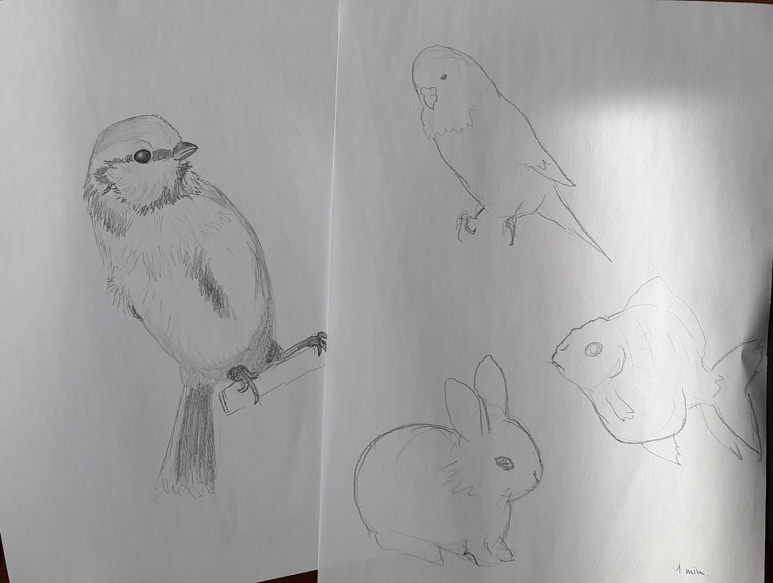 My Sketches - image 7 - student project