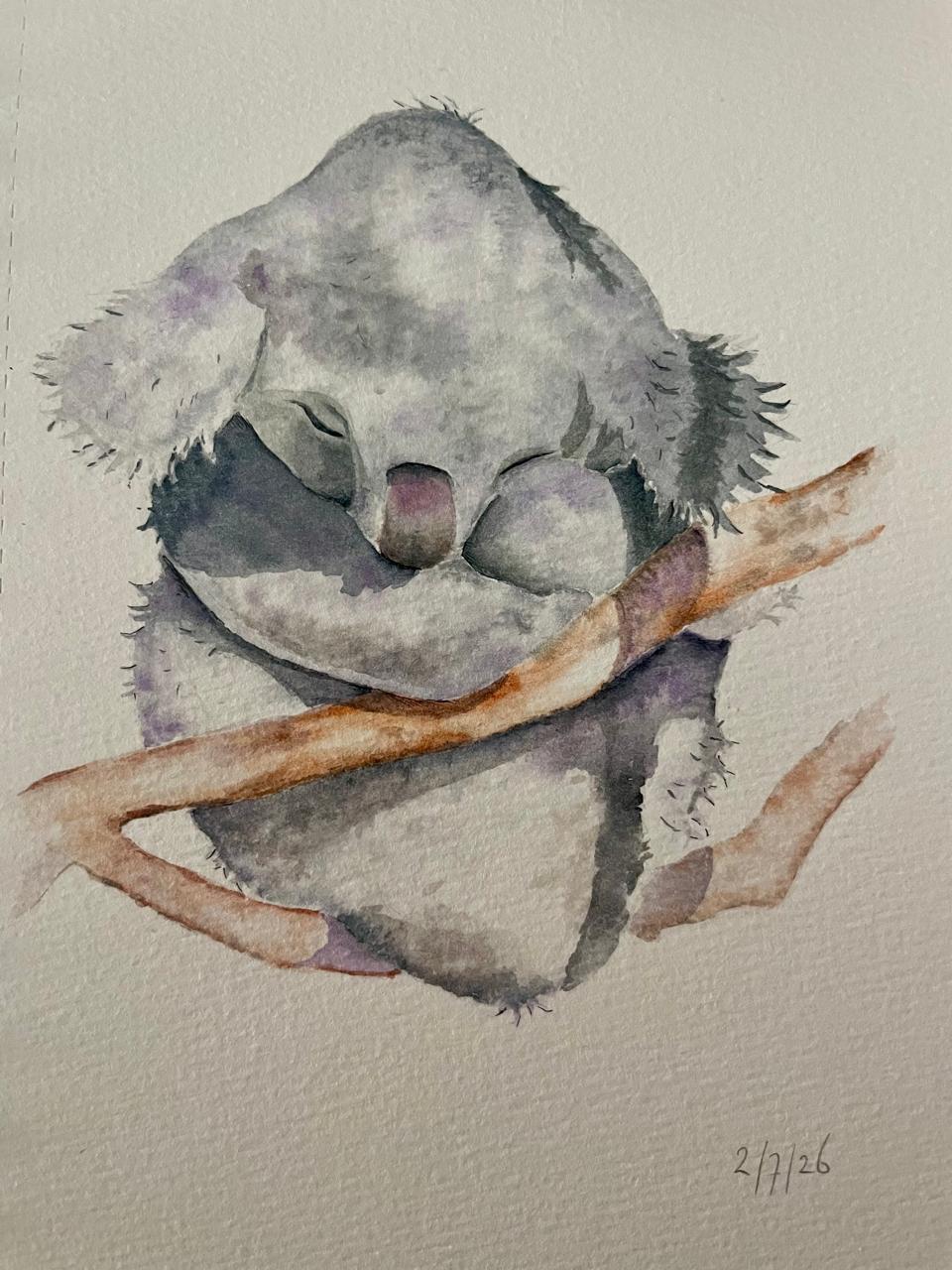 Sleeping koala - image 1 - student project