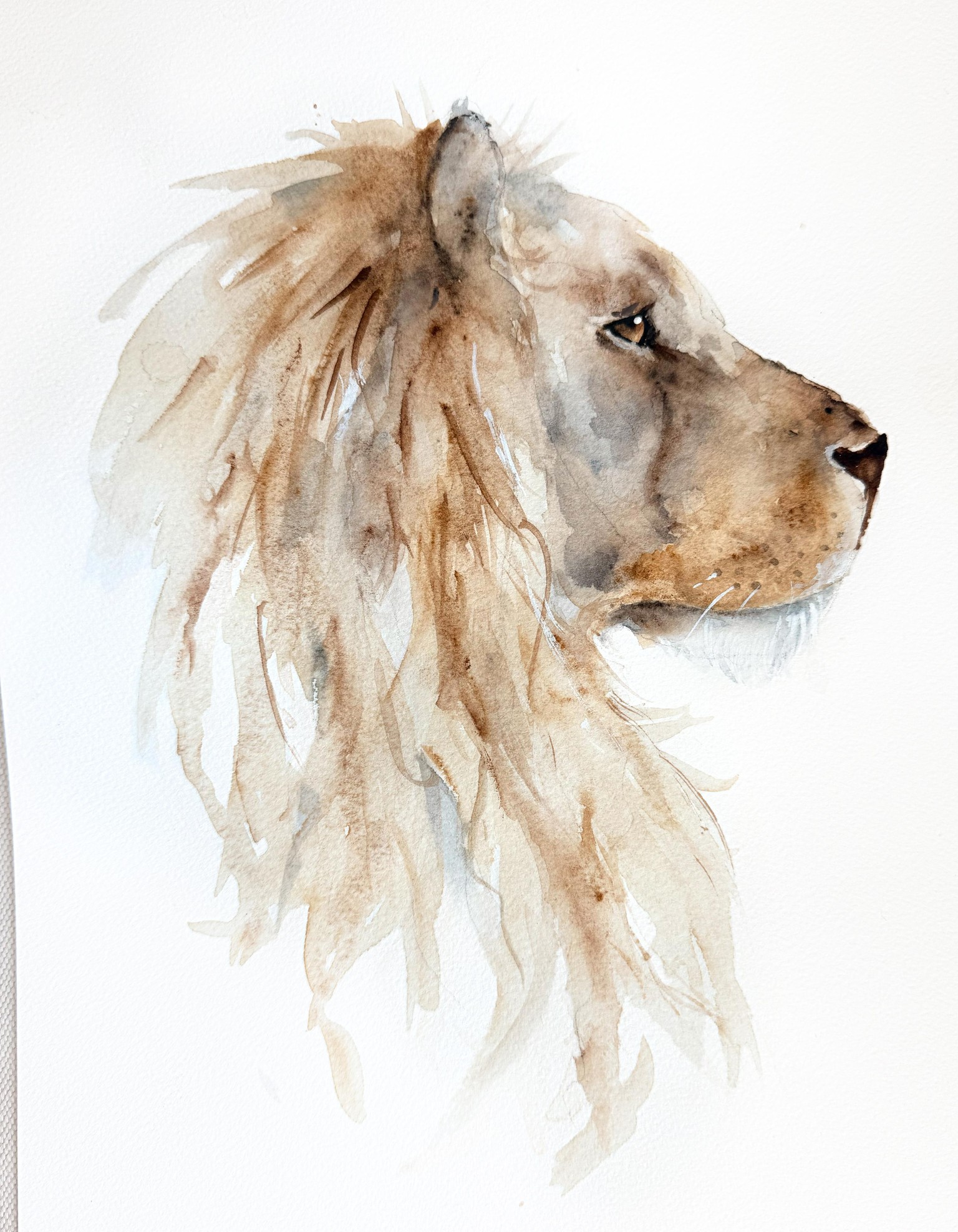 Practice Lion - image 1 - student project