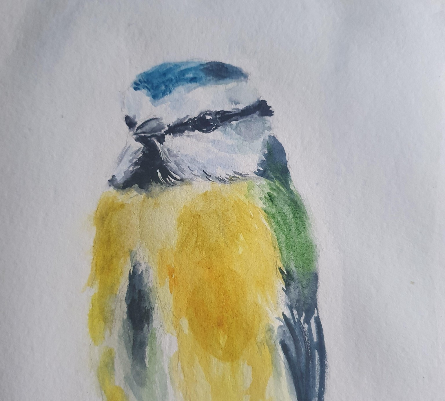 Birds in loose sketching style in watercolor  :)) - image 2 - student project