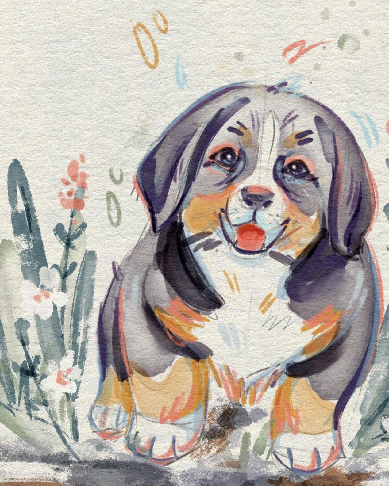 Happy puppy - image 3 - student project
