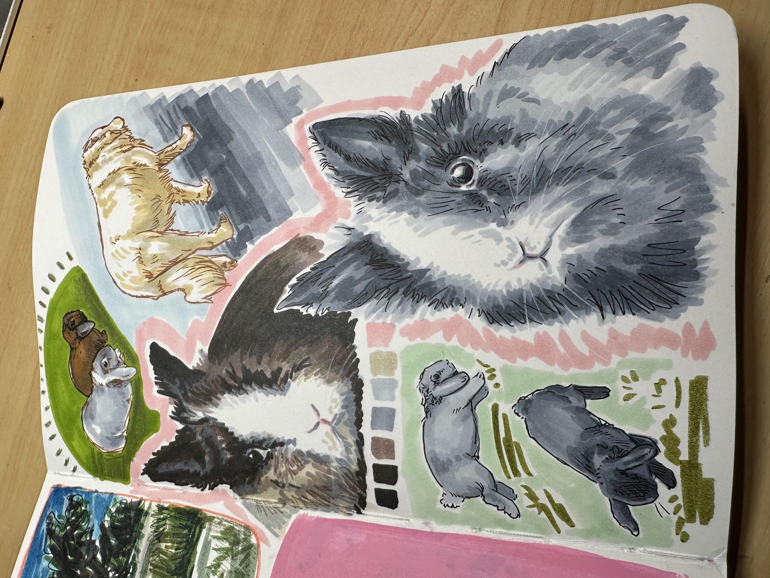 Recharge Your Creativity - Sketching in Alcohol Markers - image 1 - student project