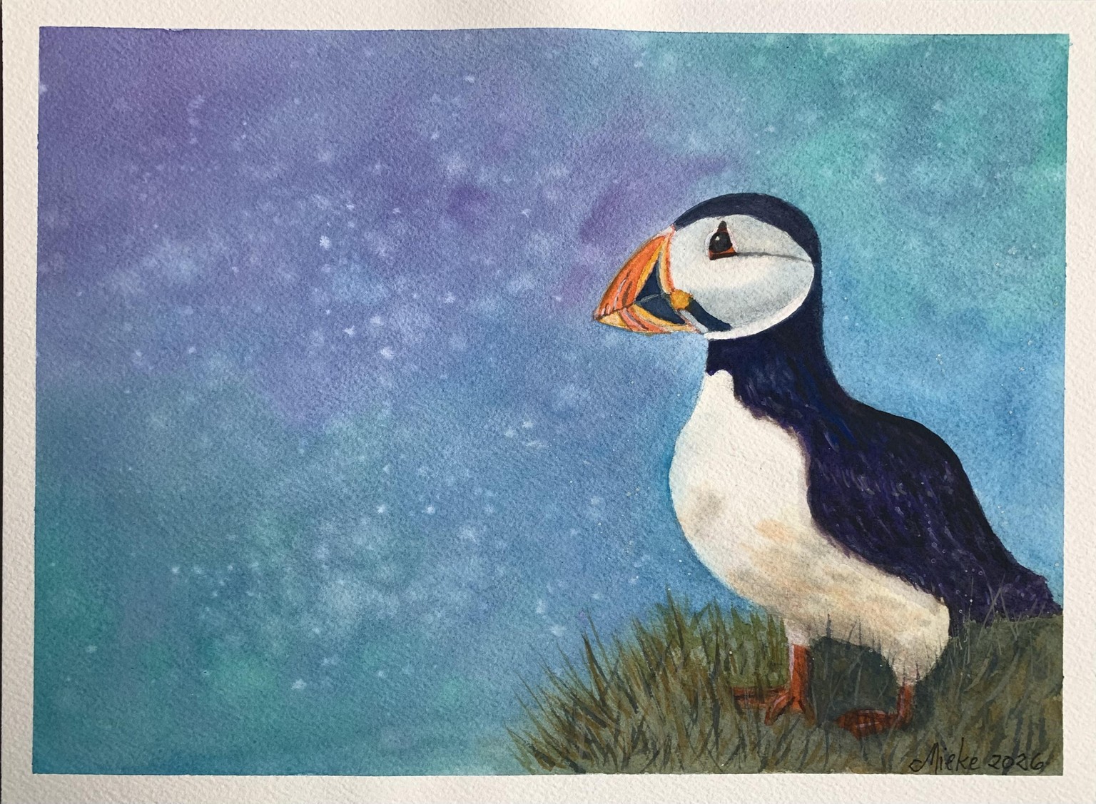 Atmospheric Watercolour Puffin - image 1 - student project