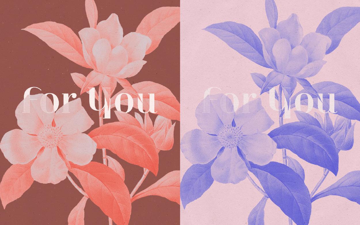Botanical Greeting Cards - image 12 - student project