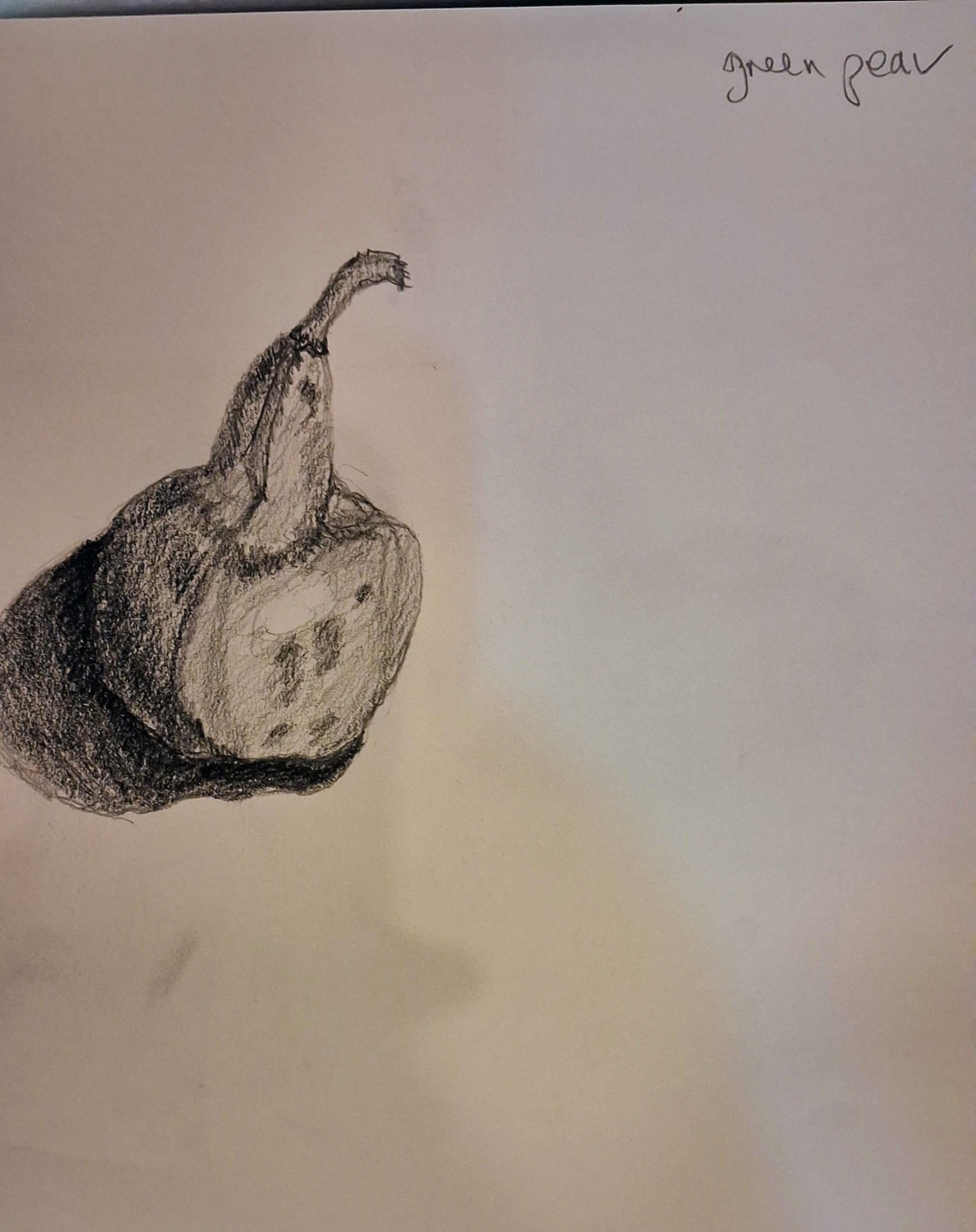 Project natural forms - image 3 - student project