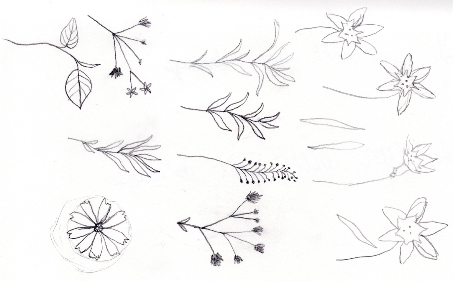 I love this class! - image 4 - student project