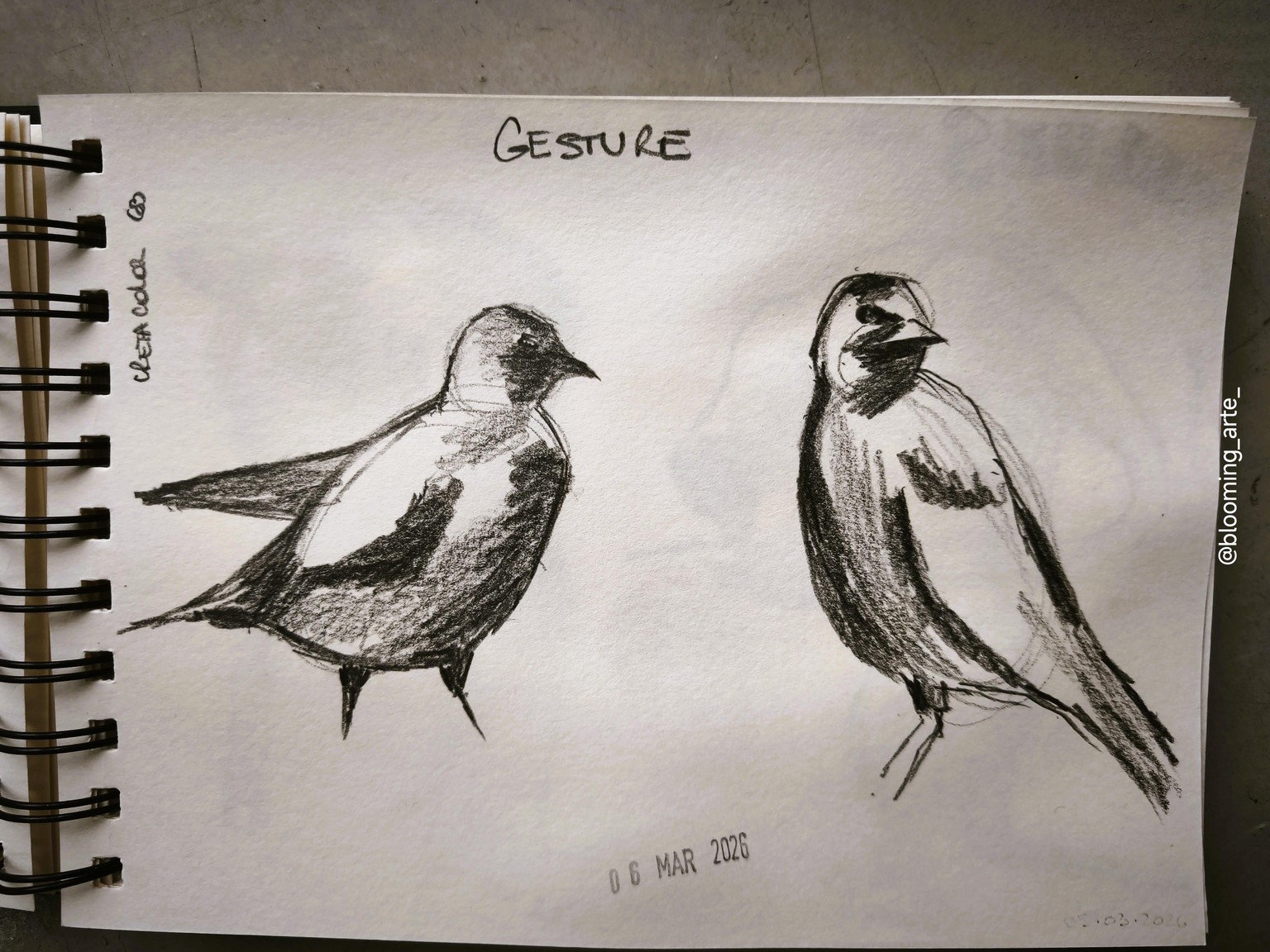 Pencil Sketching: quick and loose animals - image 6 - student project