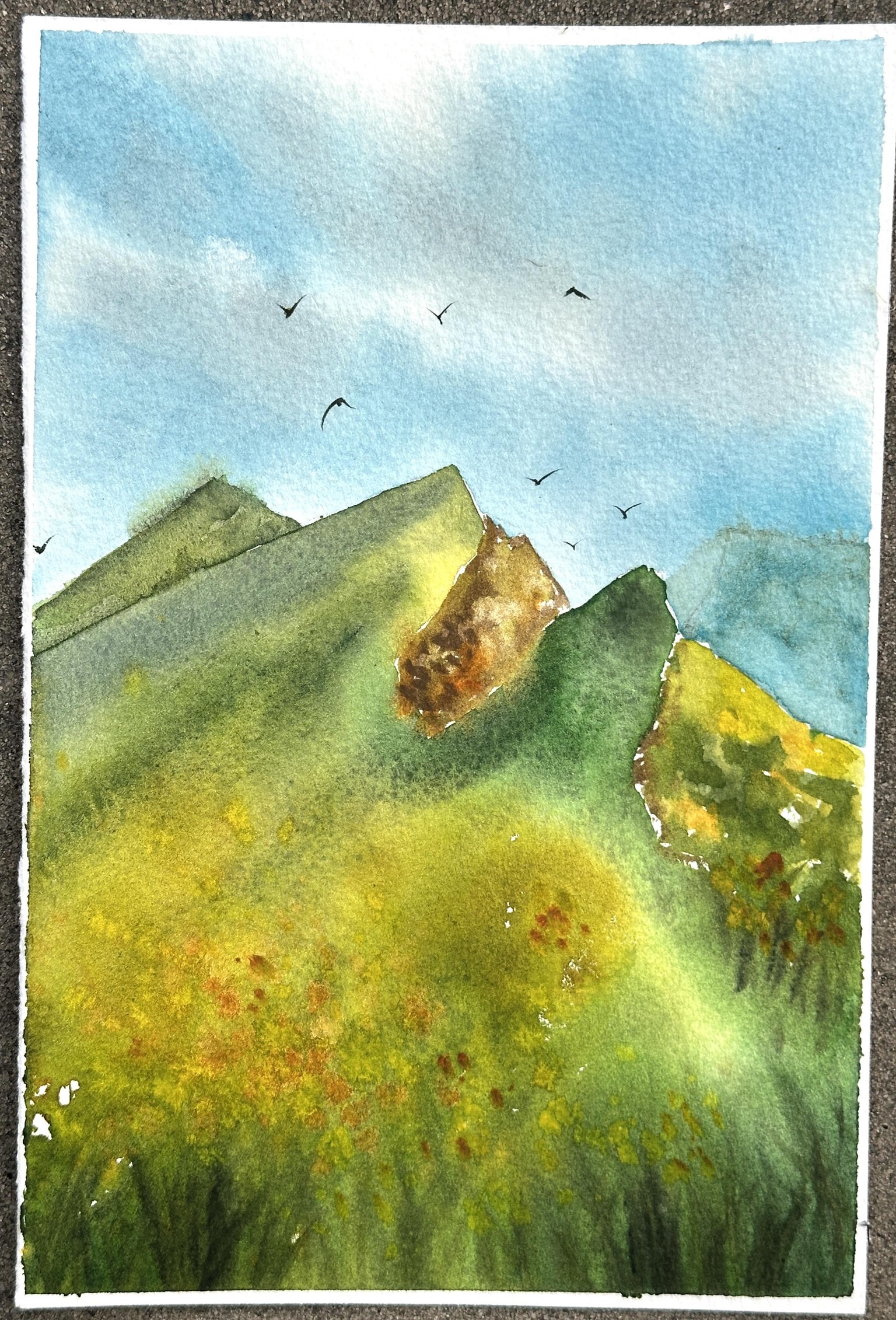 Loose and Expressive Landscapes - image 6 - student project