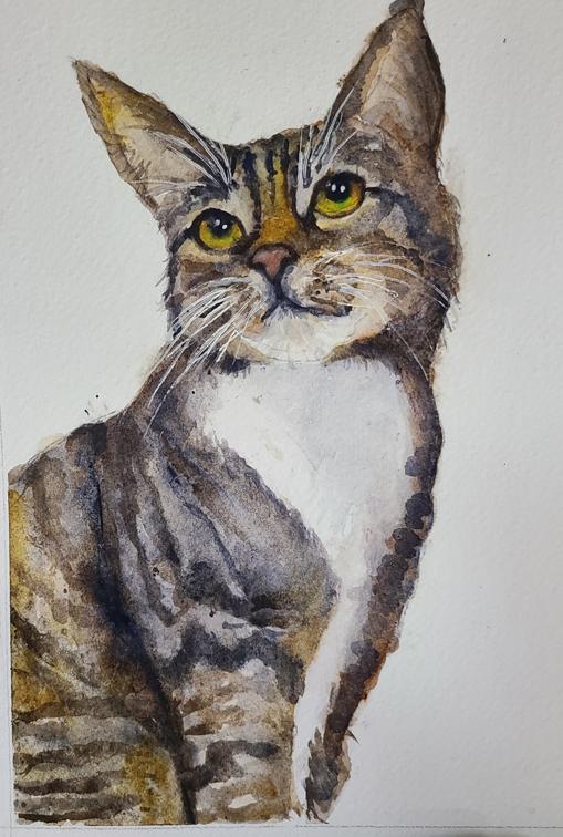 This damn cat - image 2 - student project