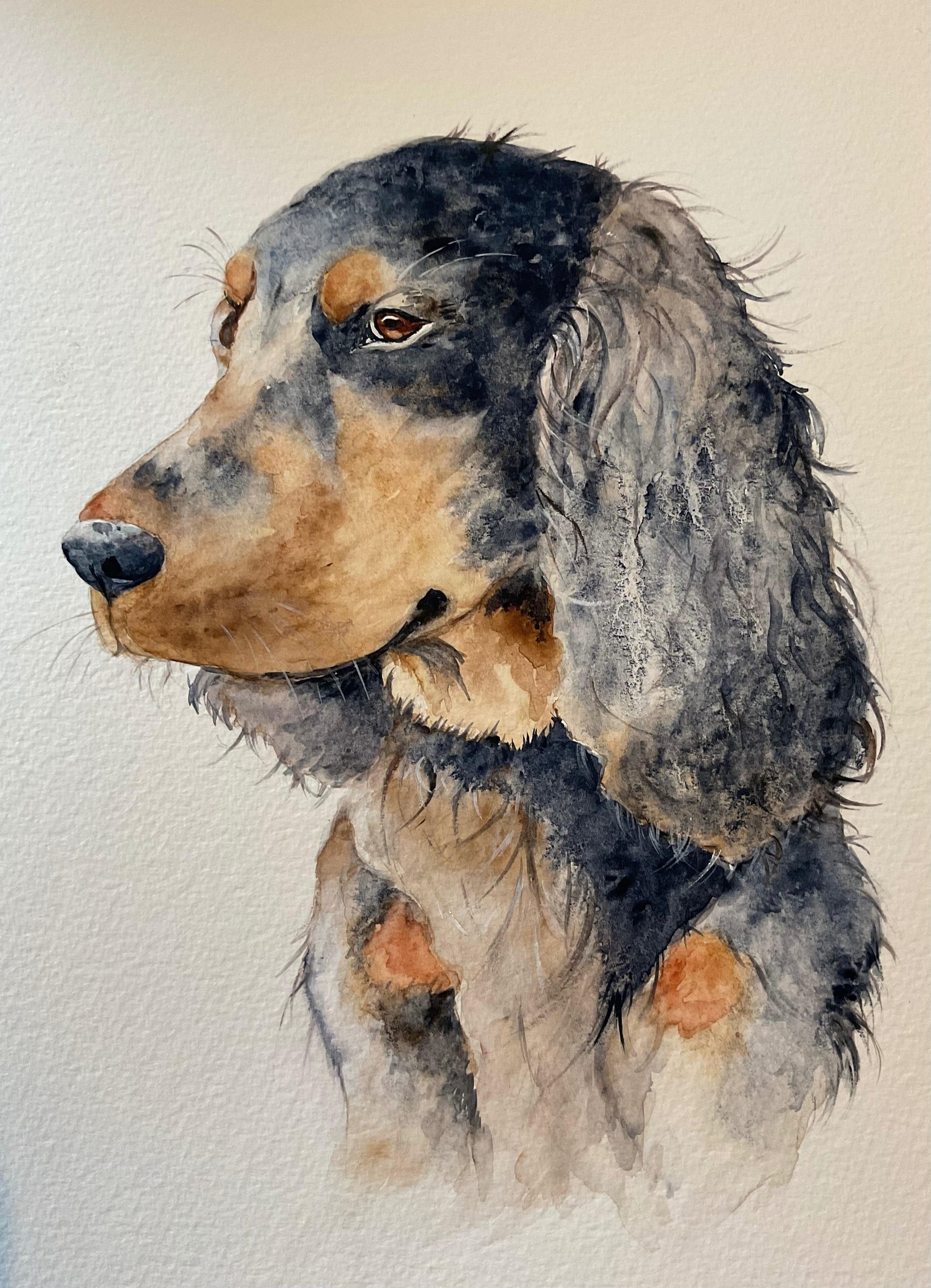 “Twig” Jane’s lovely spaniel - image 1 - student project