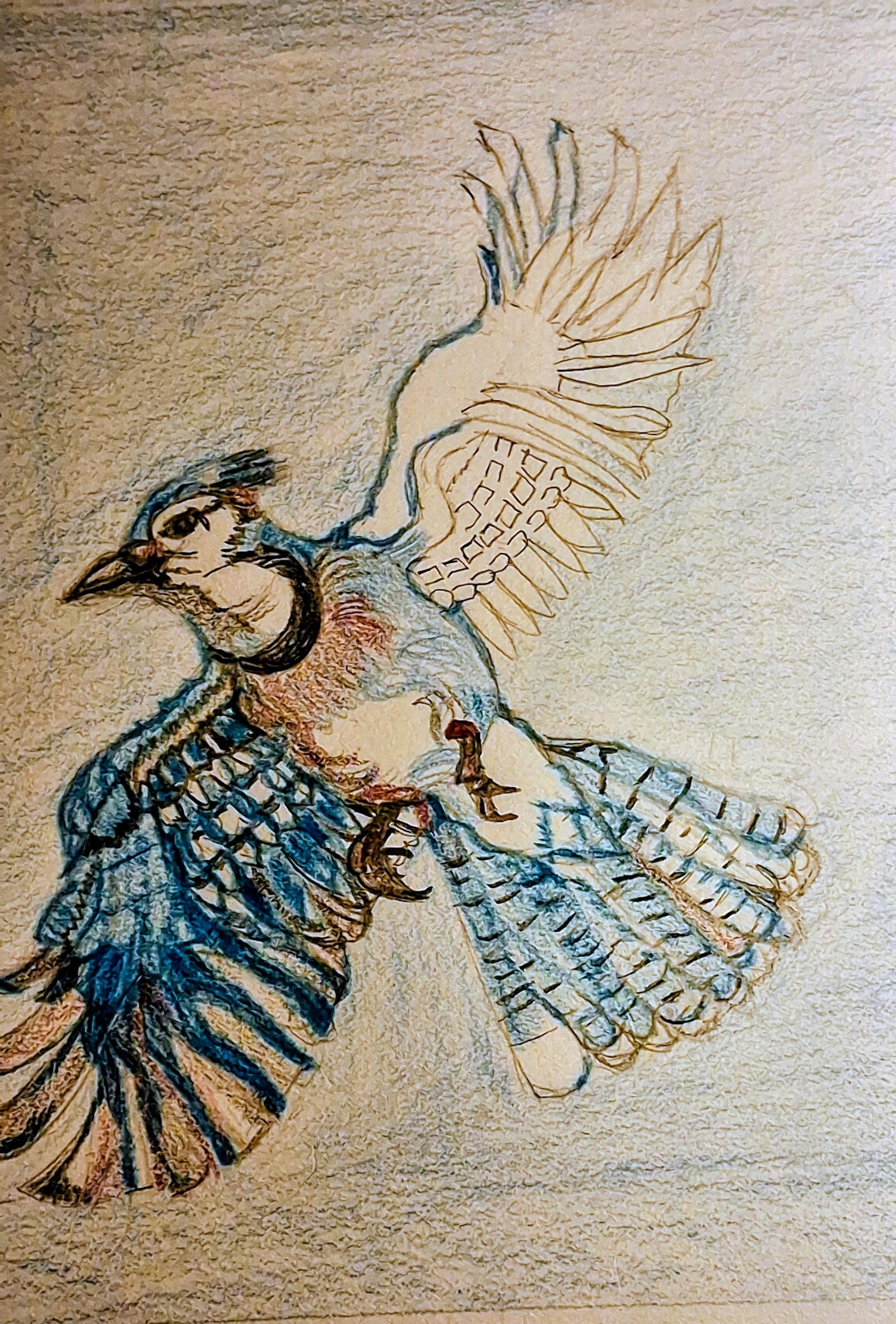 Natural Forms, Geometric shapes Blue jay. - image 1 - student project