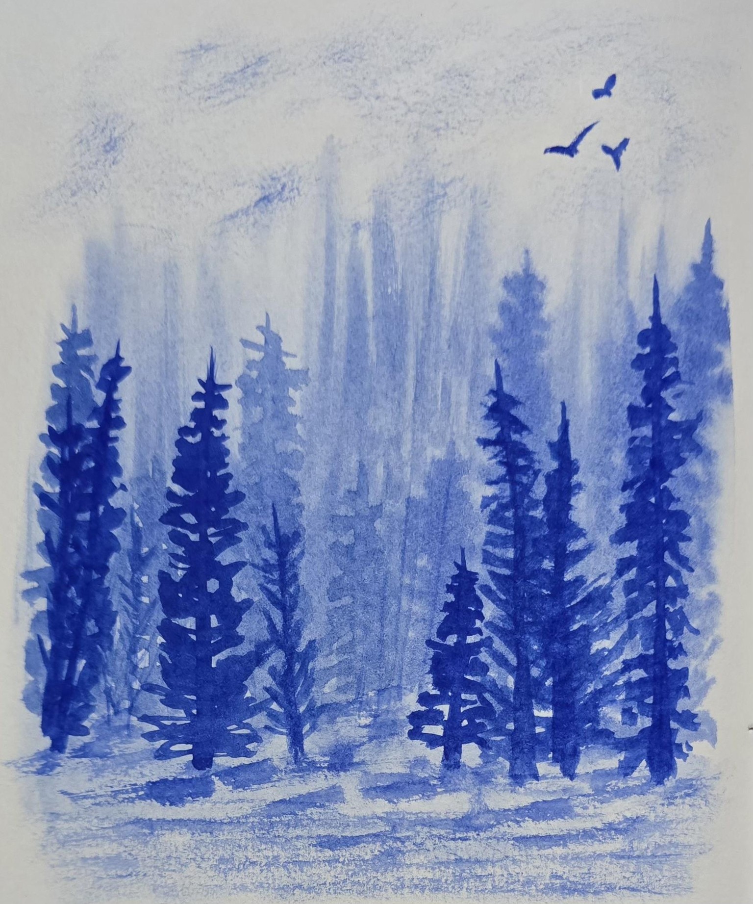 Monochromatic misty pines - image 2 - student project