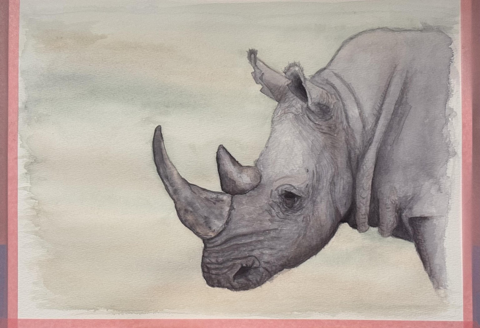 2 color rhino. - image 1 - student project