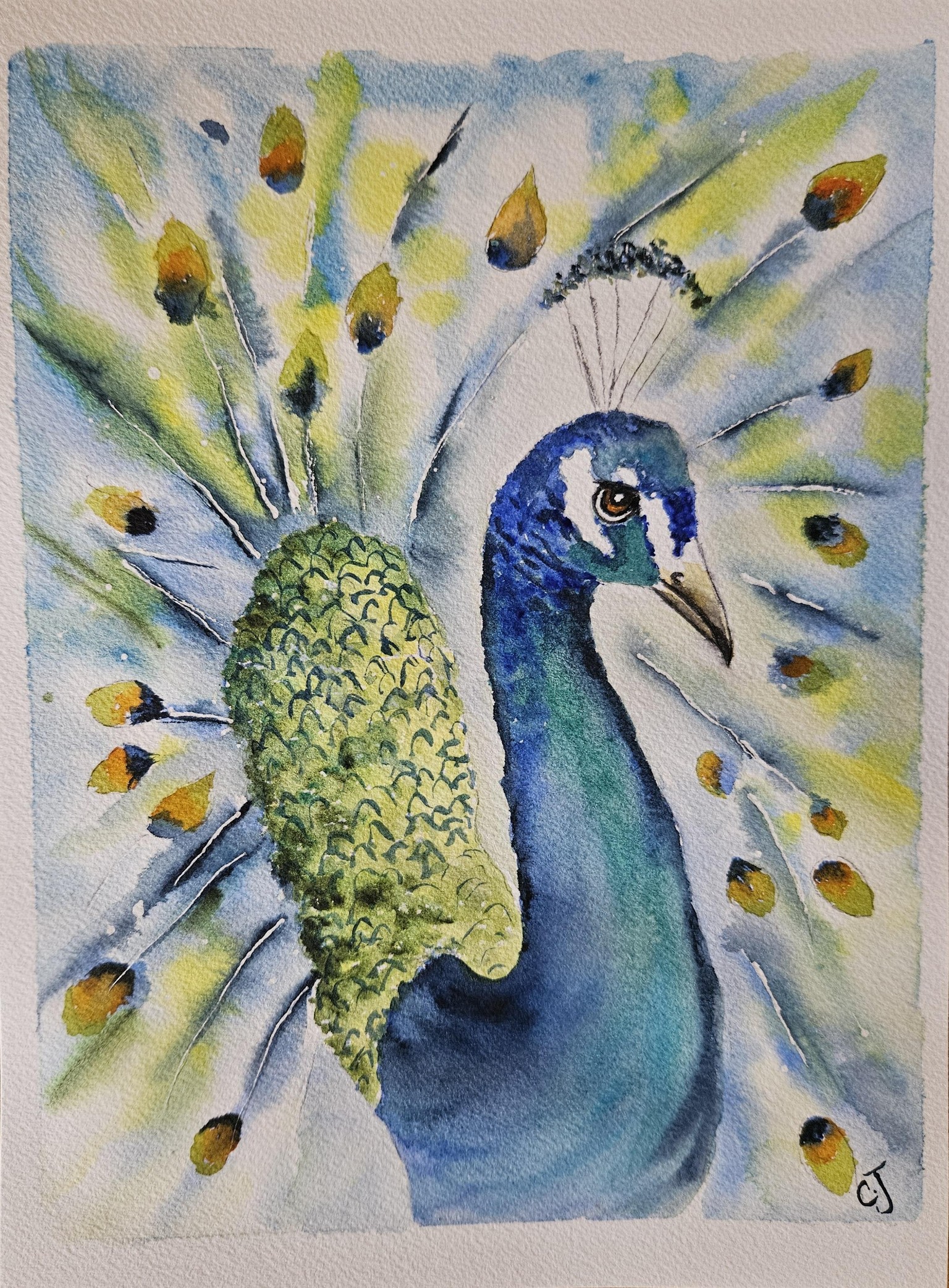 Peacock with Carrie - image 1 - student project