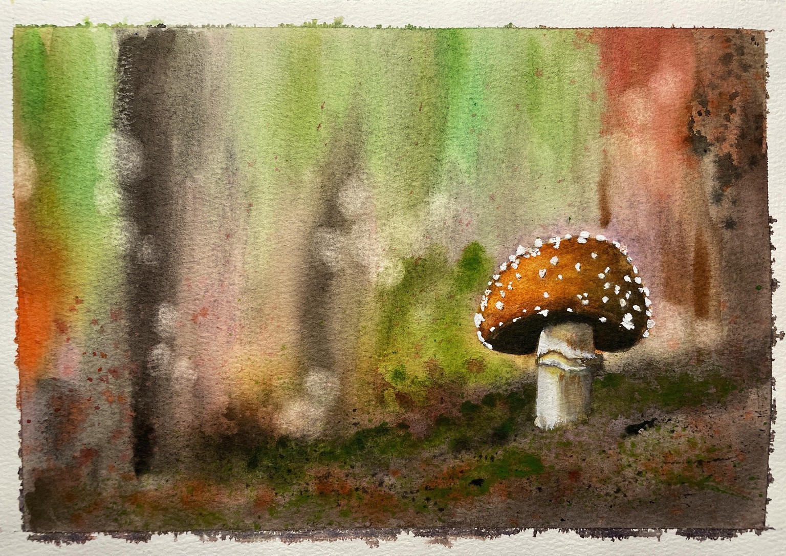 Mushroom in the forest - image 1 - student project