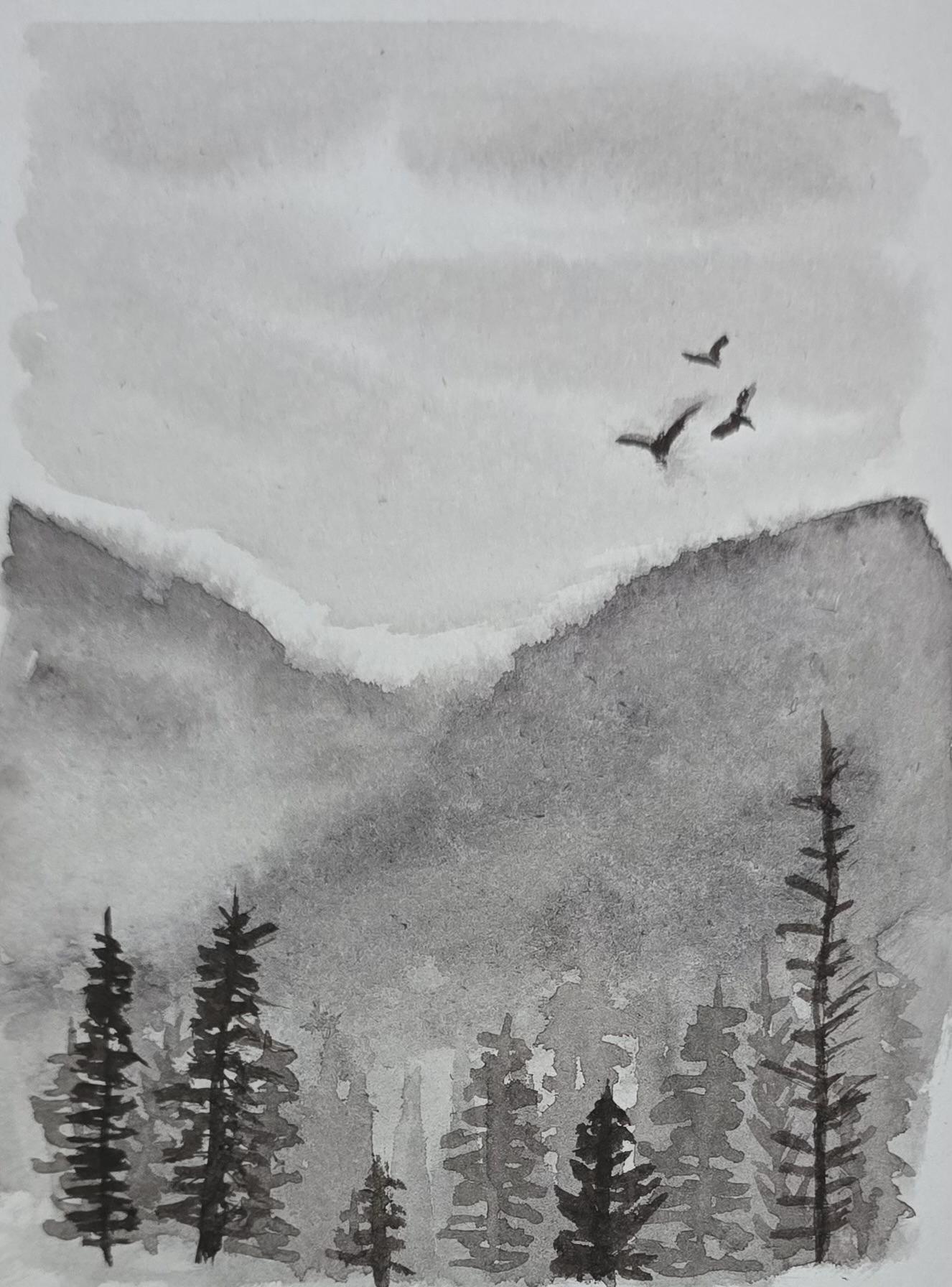 Monochromatic misty pines - image 5 - student project