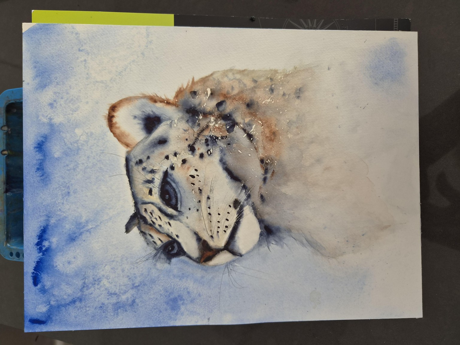 My Snow Leopard - image 1 - student project