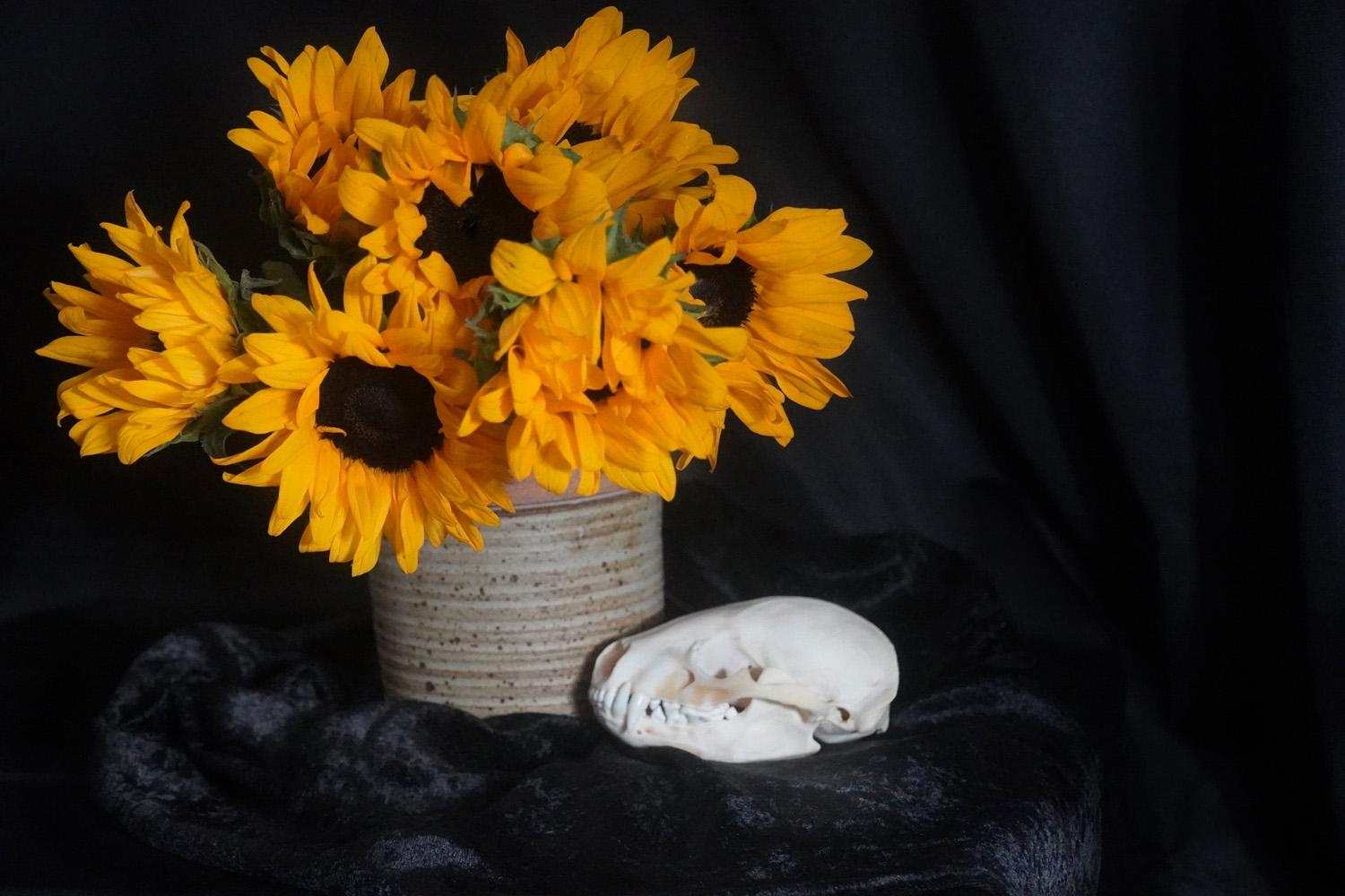 Still Life and Death - image 3 - student project