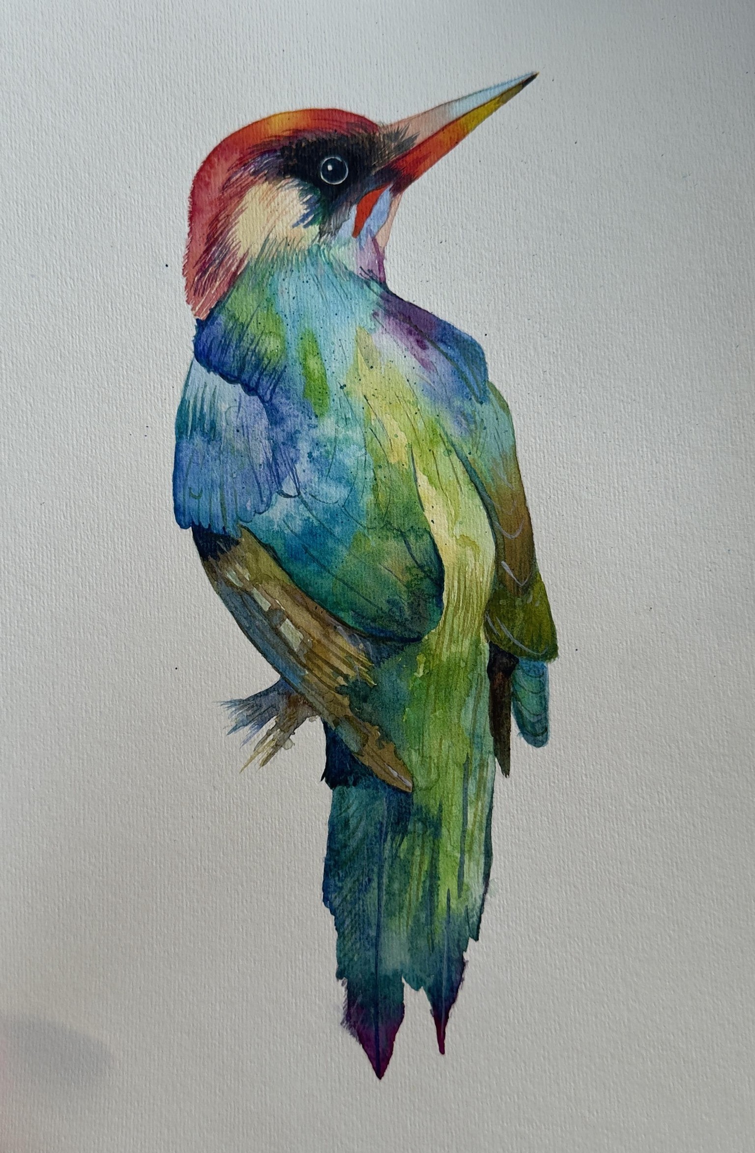 Woodpecker - image 1 - student project