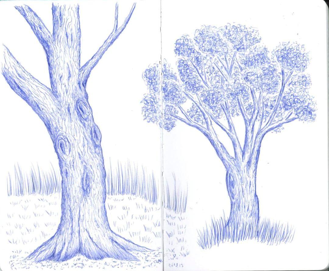 Pocket Sized Ballpoint Trees - image 1 - student project