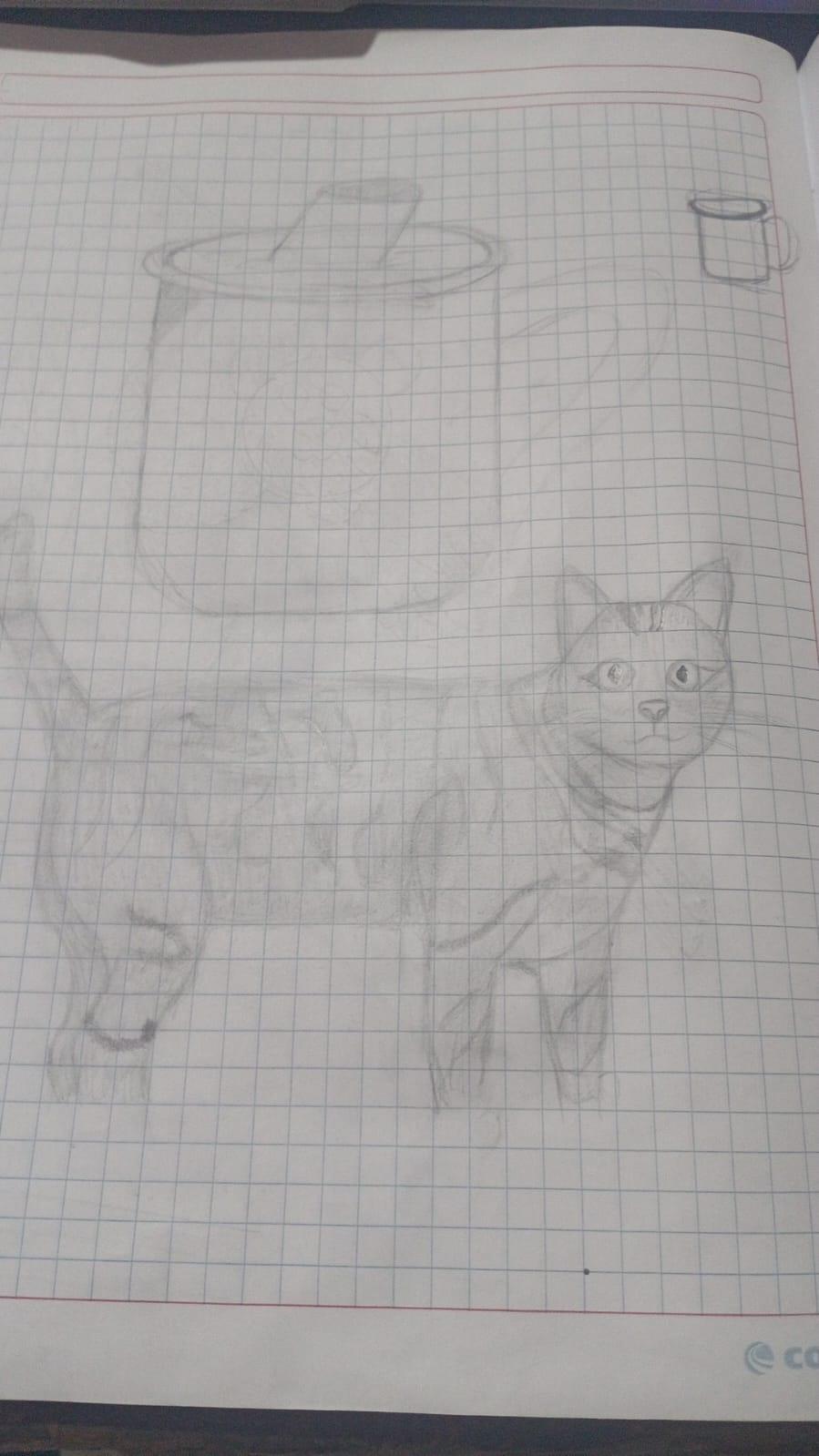 mi primera vez dibujando - image 3 - student project
