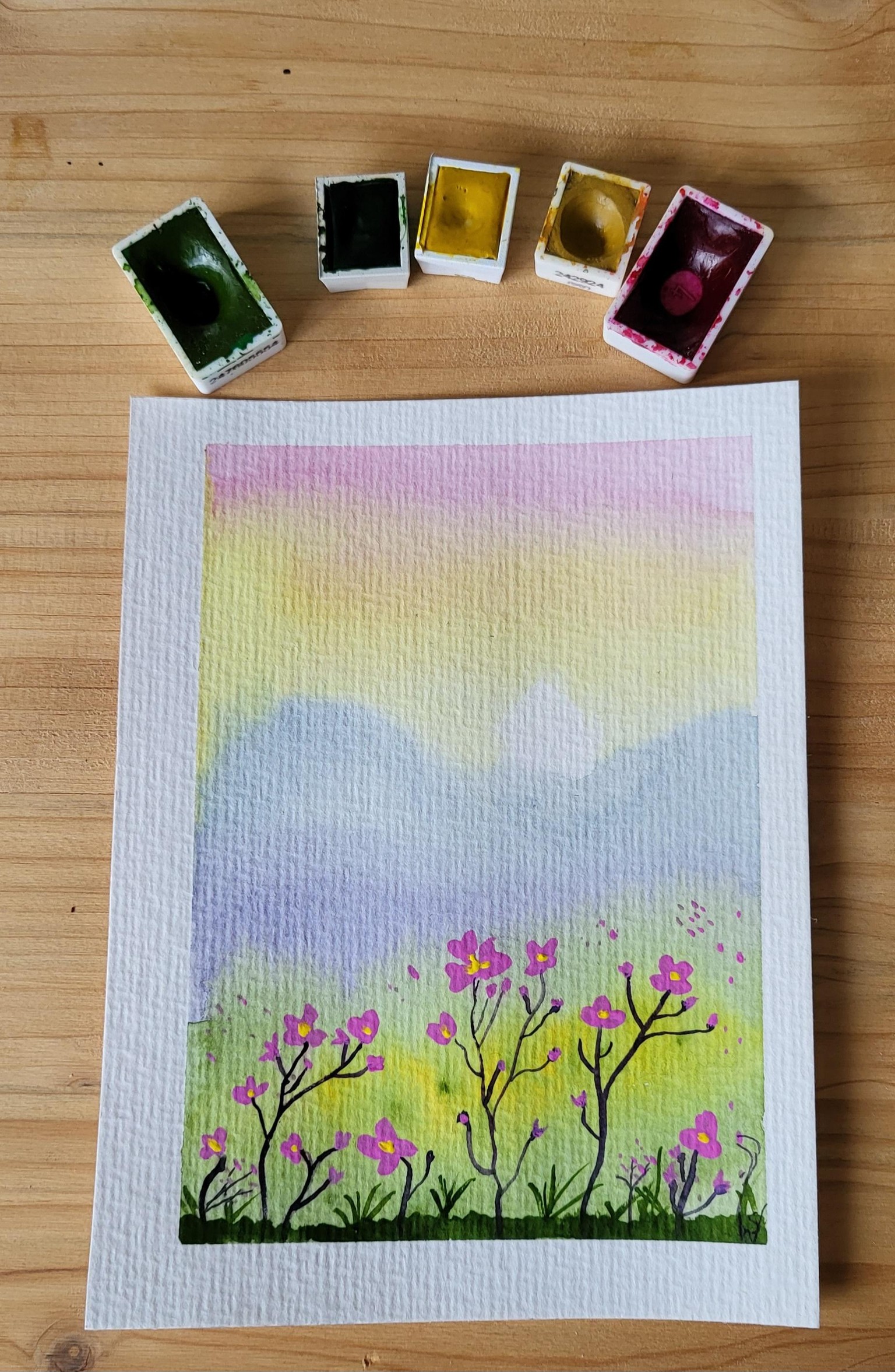 25 days of landscape - image 14 - student project