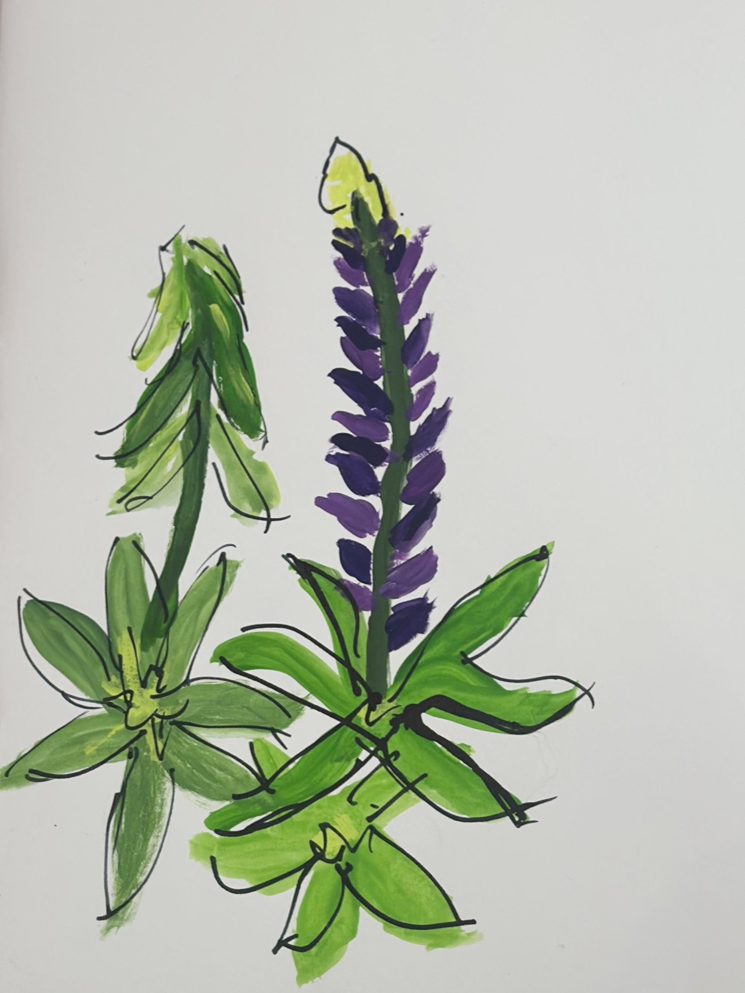 Simple and fun flowers in gouache and ink - image 3 - student project