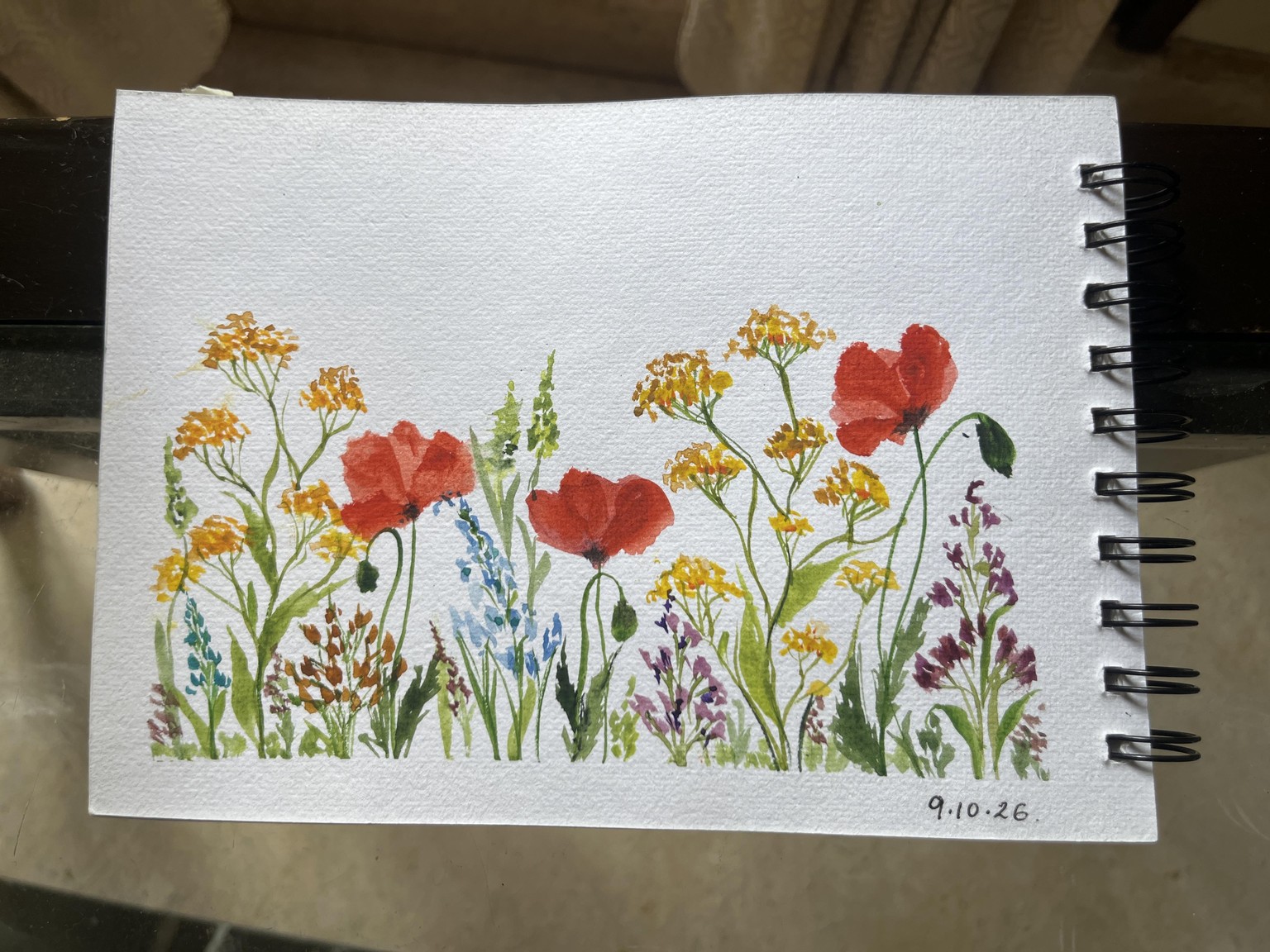 Wildflower meadow - image 1 - student project