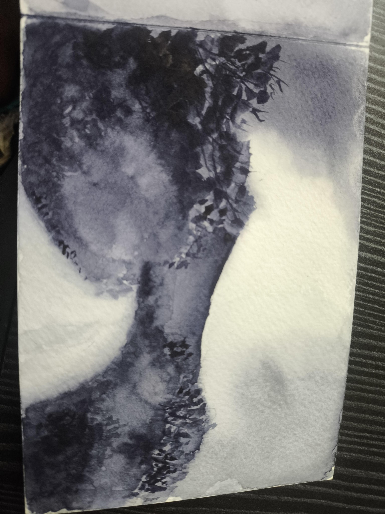 Monochrome watercolor painting - image 3 - student project