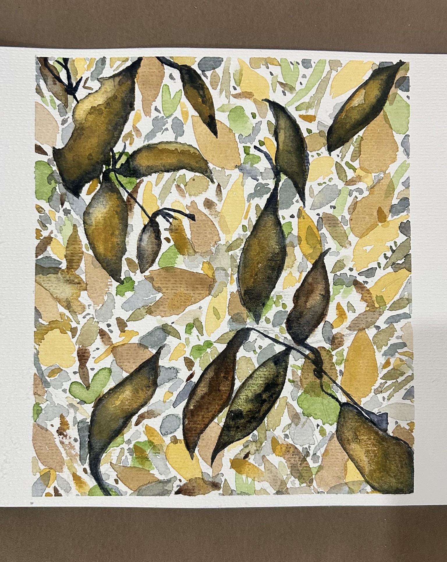 Aussie Autumn - image 1 - student project