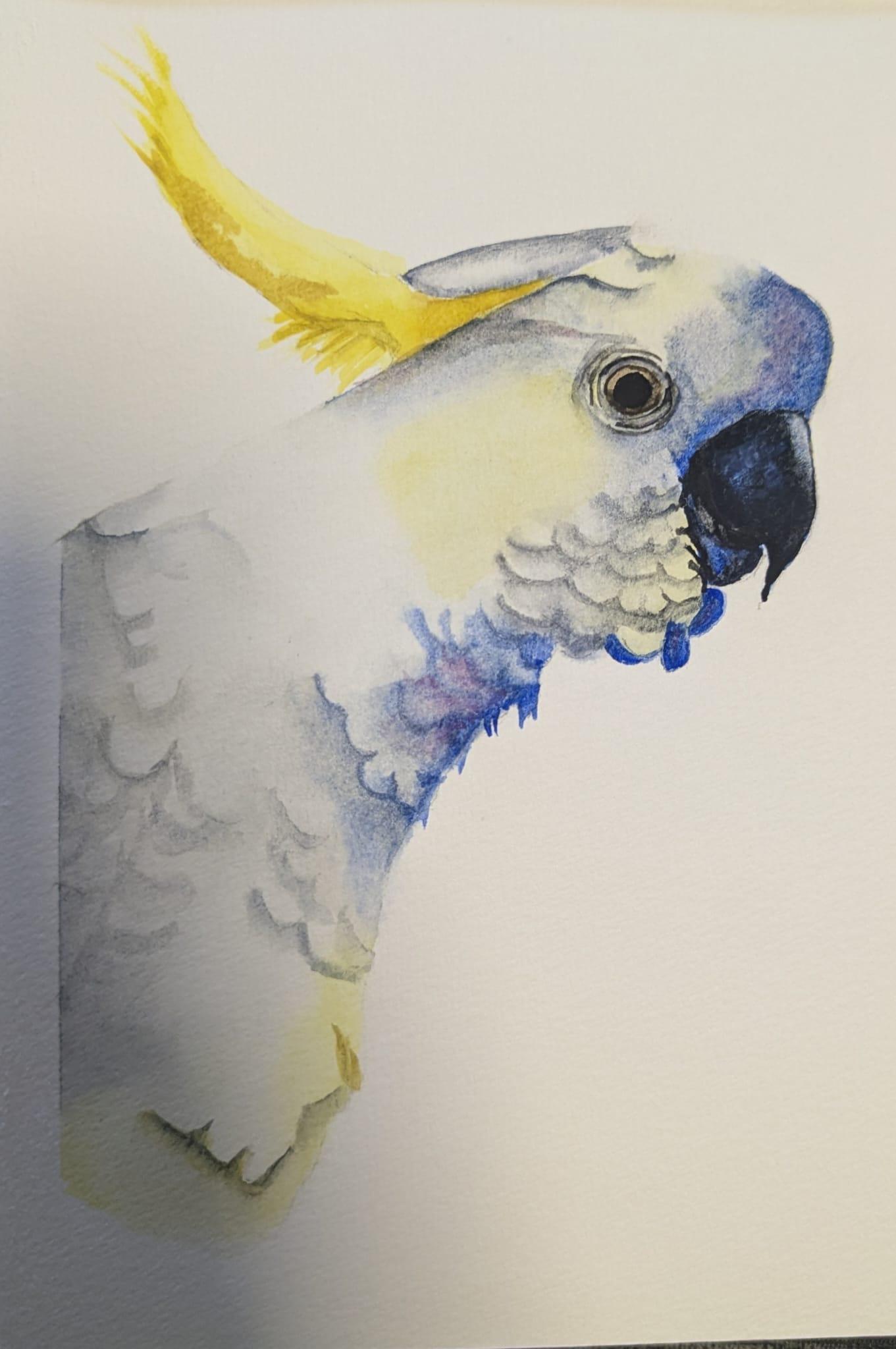 White Cockatoo - image 1 - student project