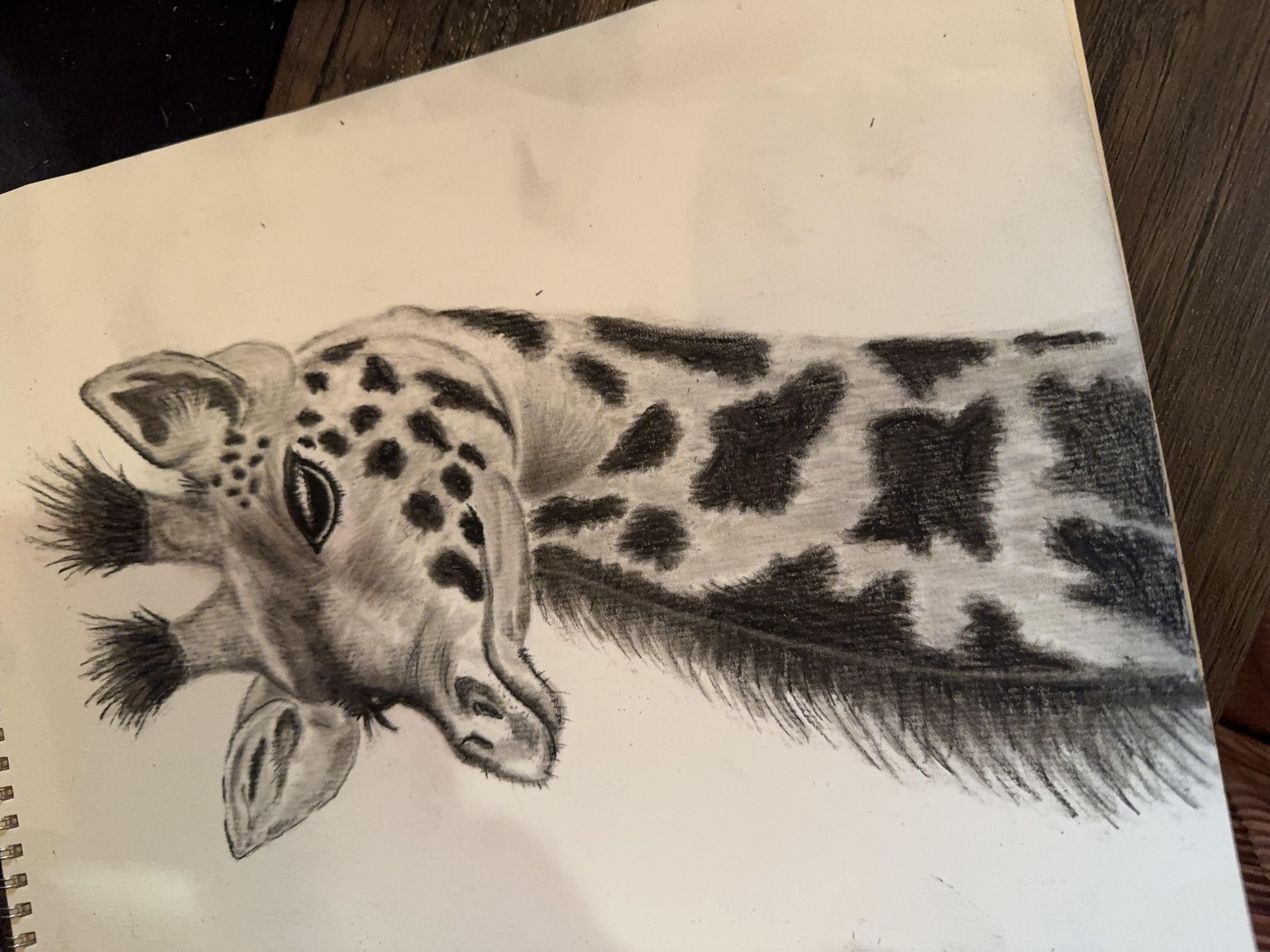 1st time working with charcoal, 13th sketch I've ever done, 1st giraffe! - image 1 - student project