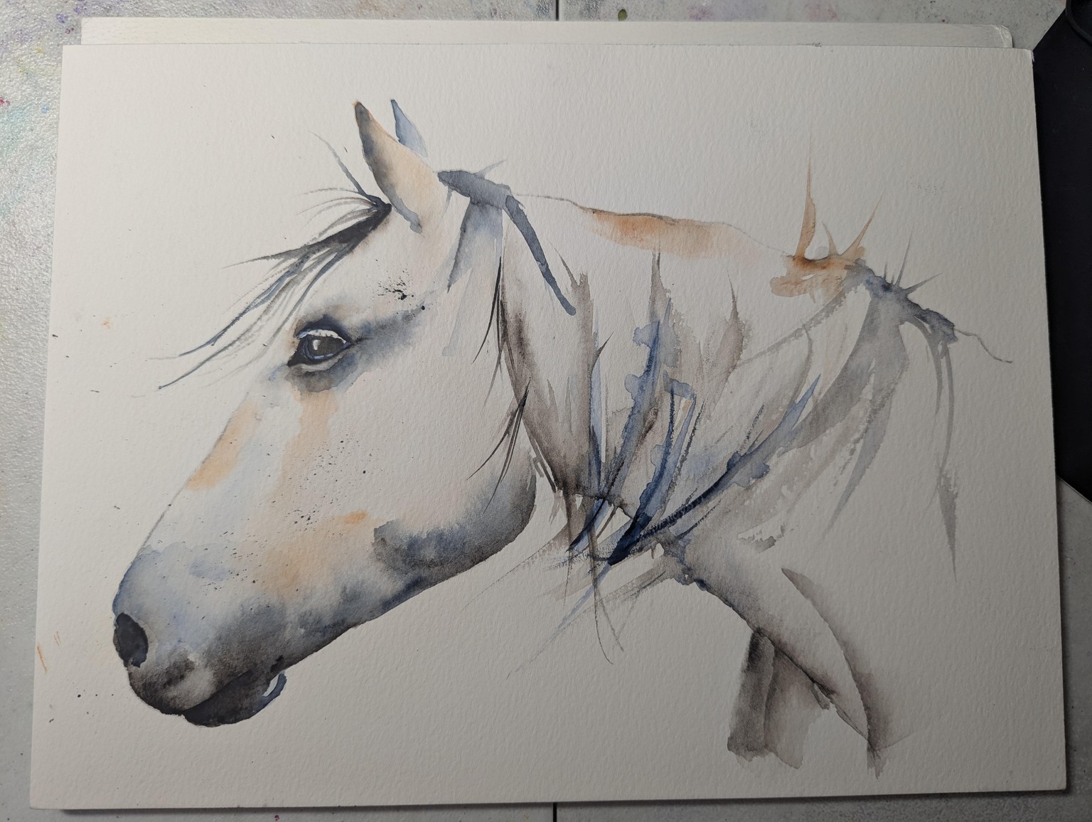 Loose horse - image 1 - student project