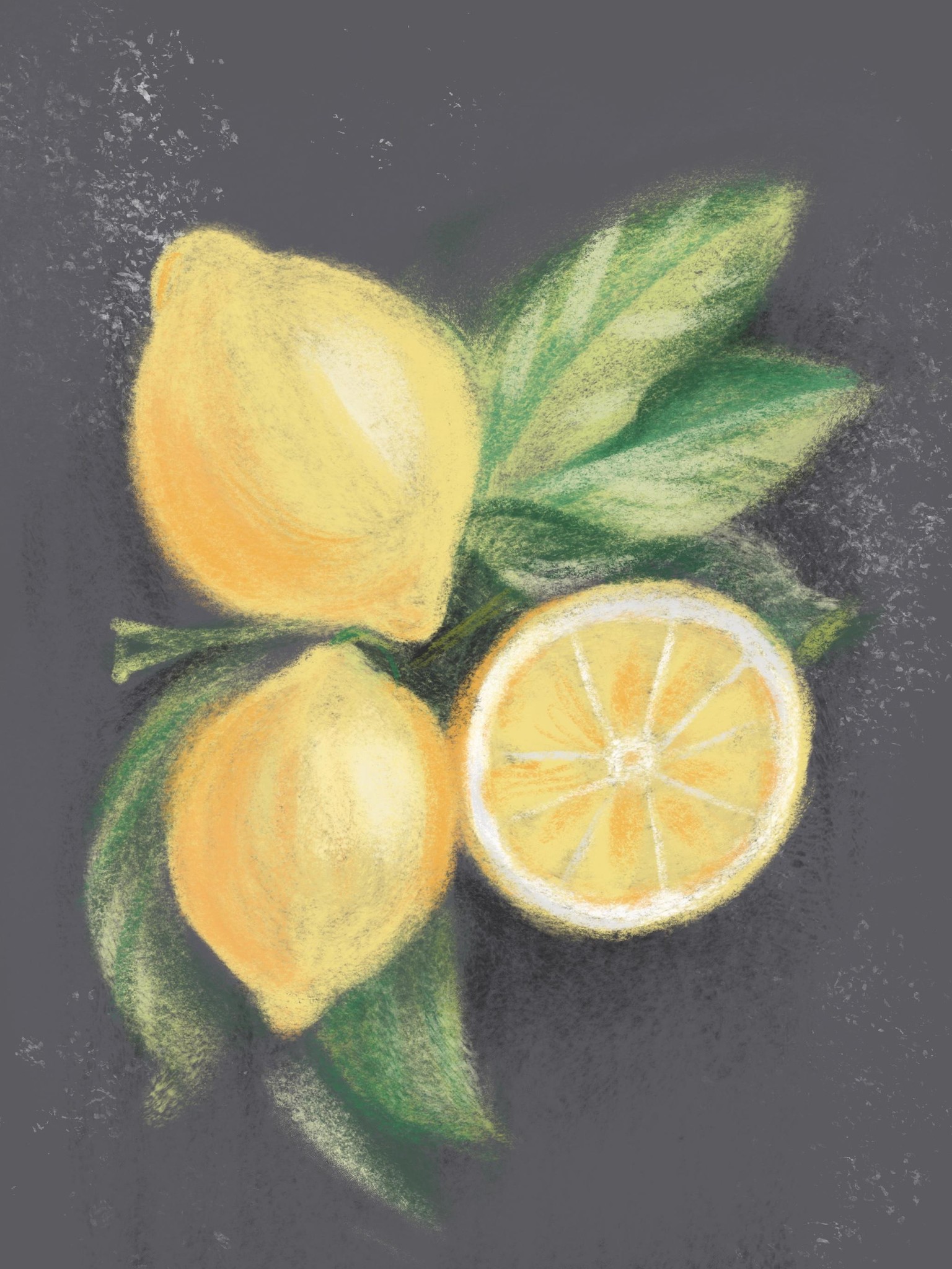 Sketchy lemons - image 2 - student project