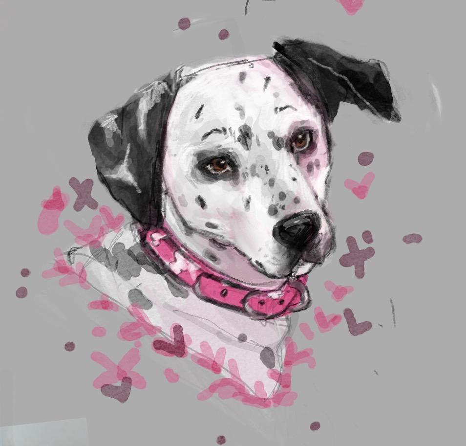 Lucky - image 1 - student project