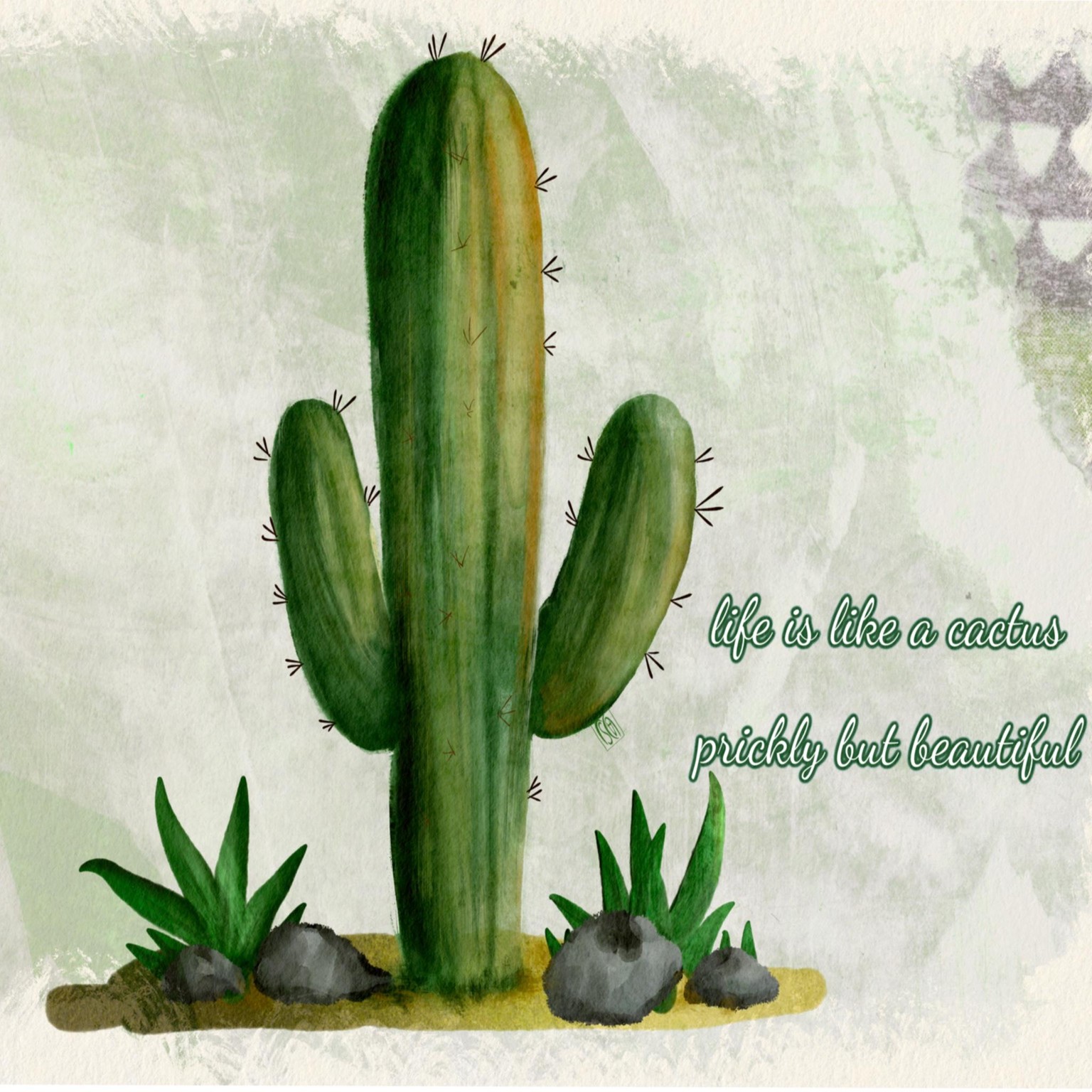 Life is a cactus… - image 1 - student project