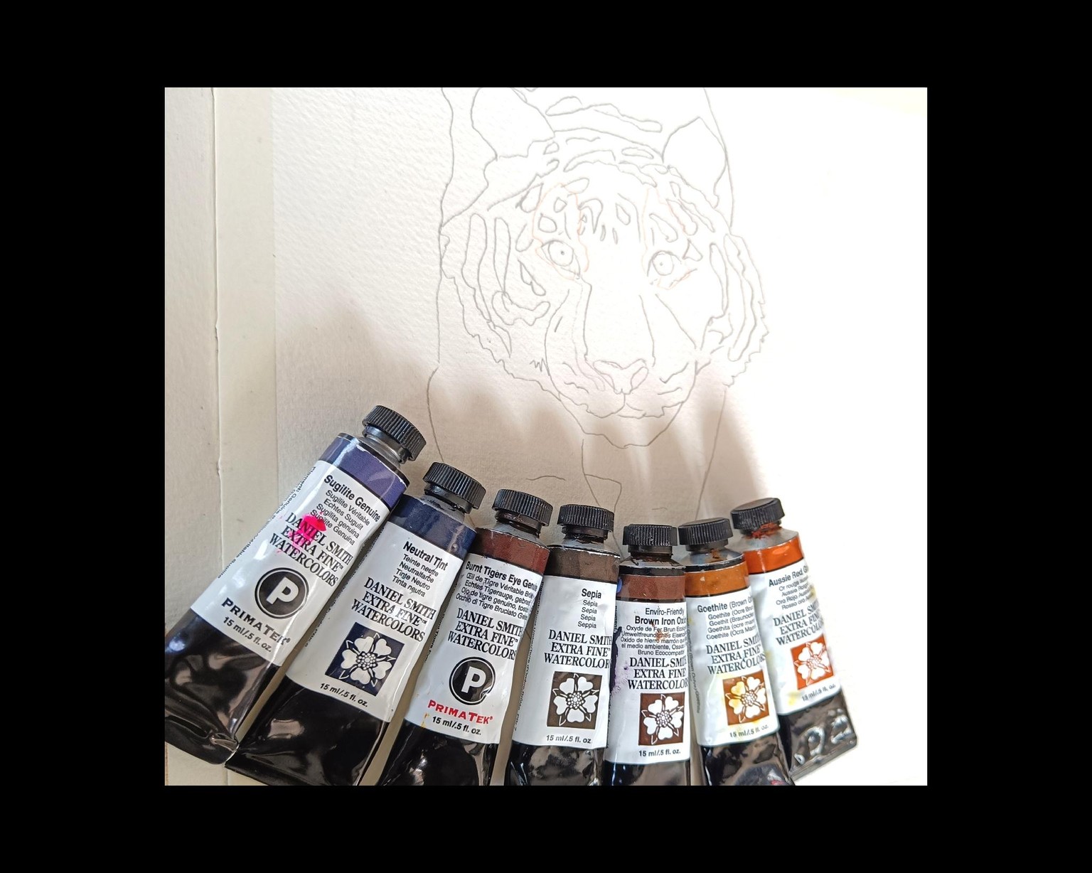 Aquarell - painting a free flow Tiger with Jane Davies - image 2 - student project