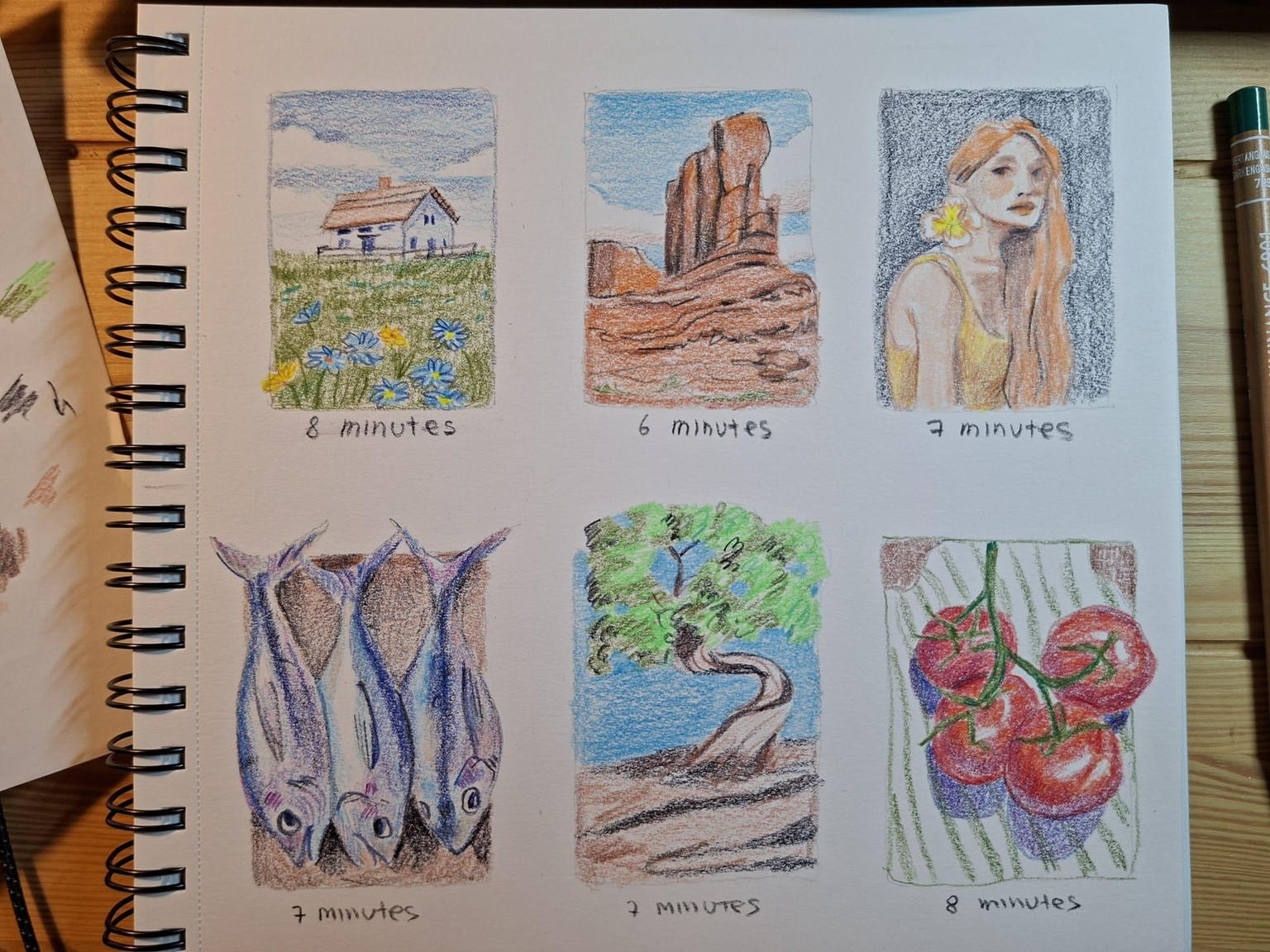 Colored Pencil Thumbnails - image 1 - student project