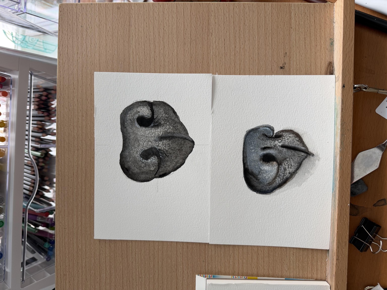 Noses!! - image 1 - student project