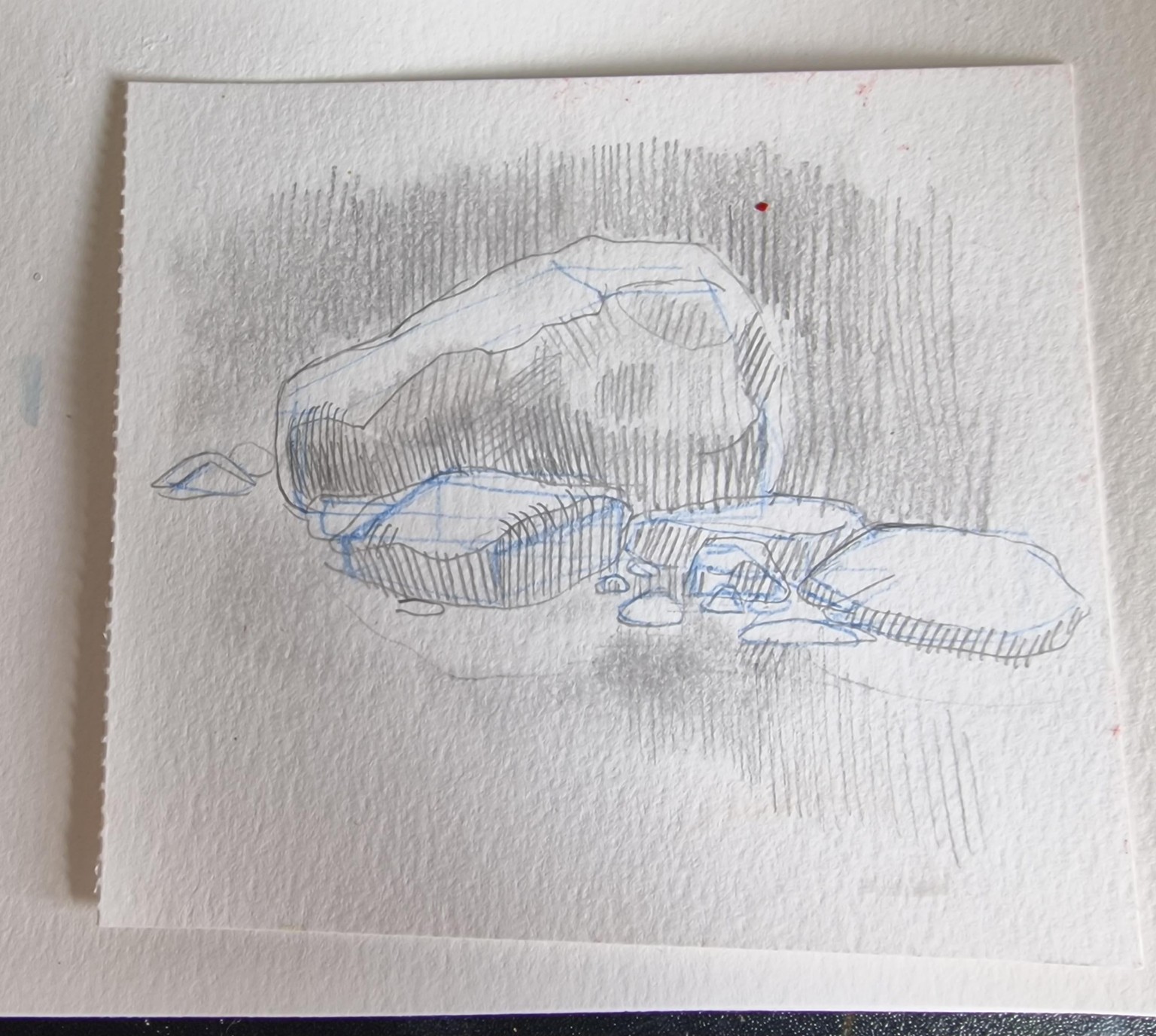 Painting some rocks - image 4 - student project
