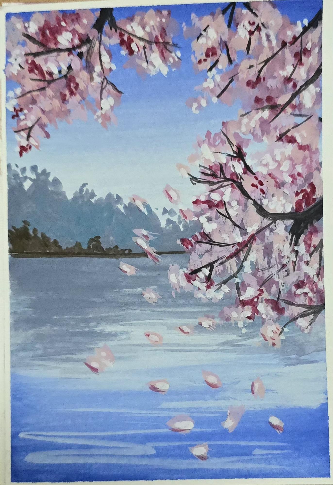 Cherry blossoms - image 2 - student project
