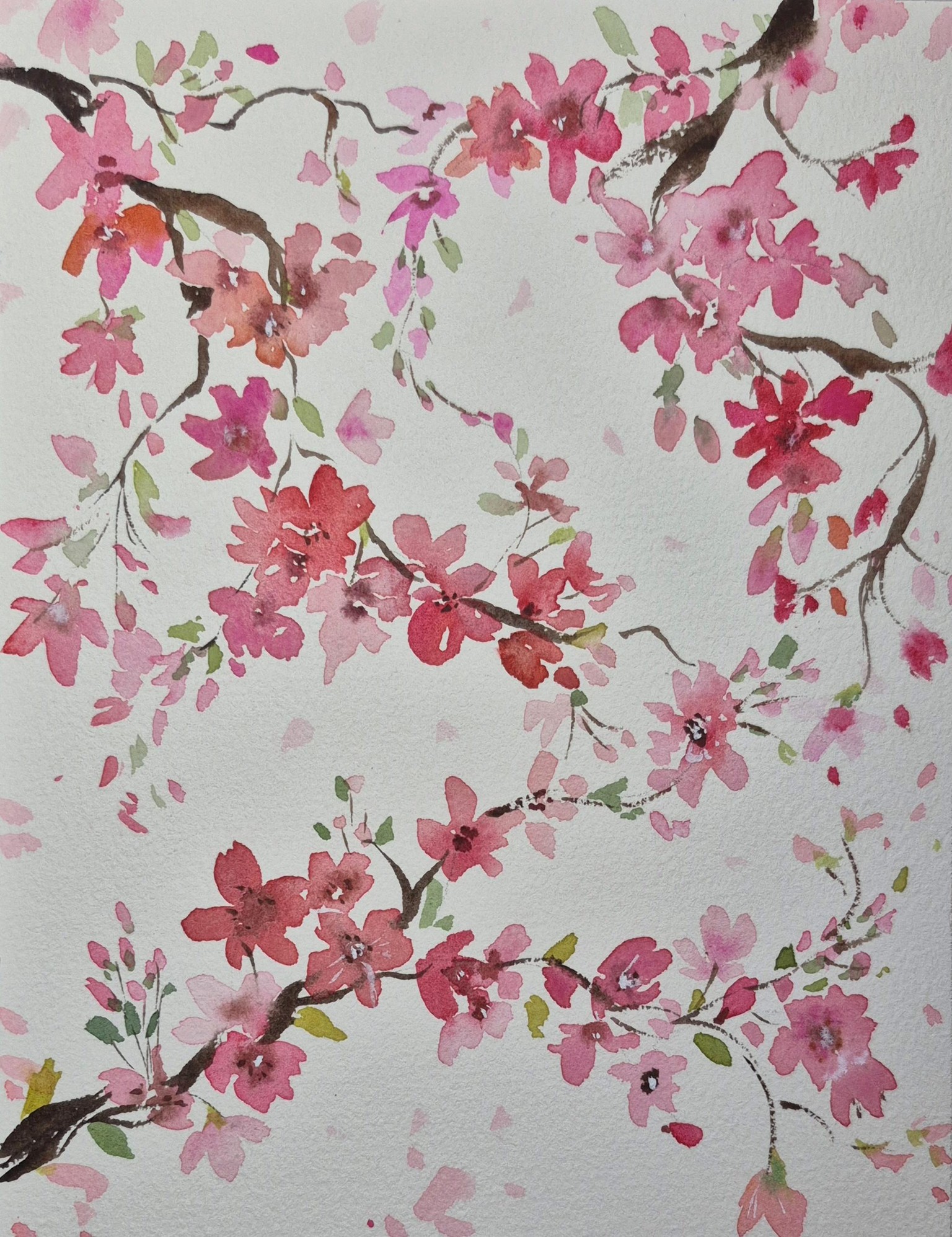 Watercolor Cherry Blossoms : 3 Fun and Easy Projects - image 1 - student project