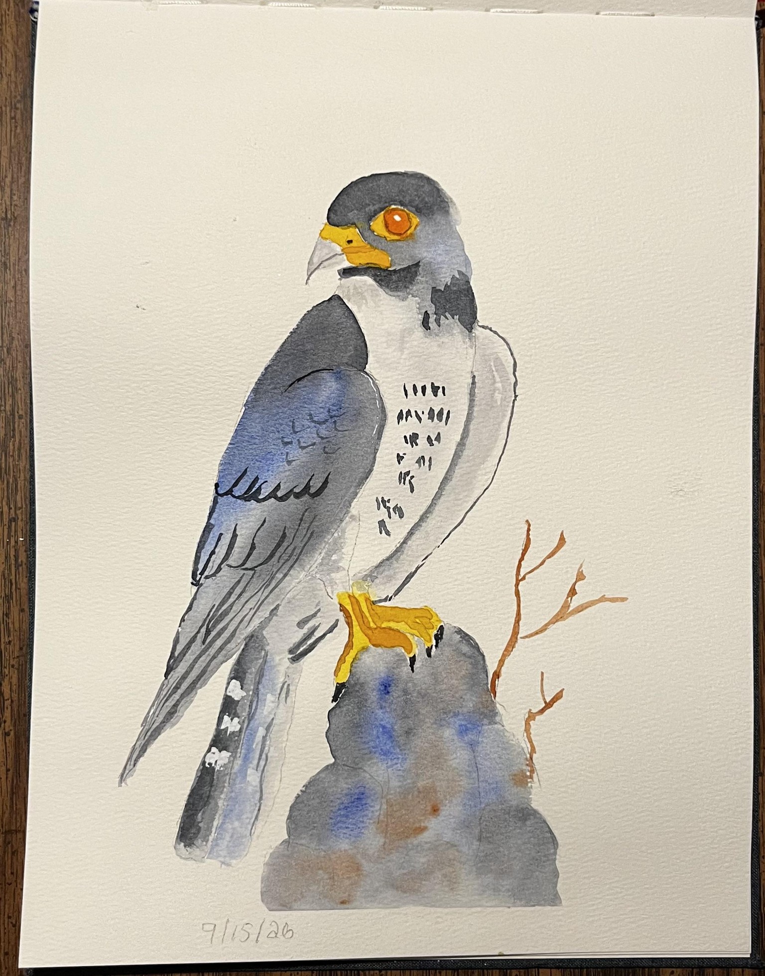 Birds - image 5 - student project