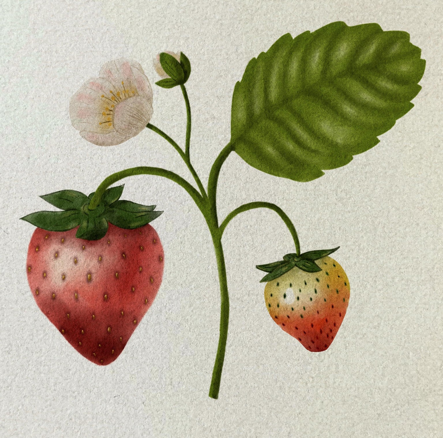 Realistic watercolor painting. - image 1 - student project