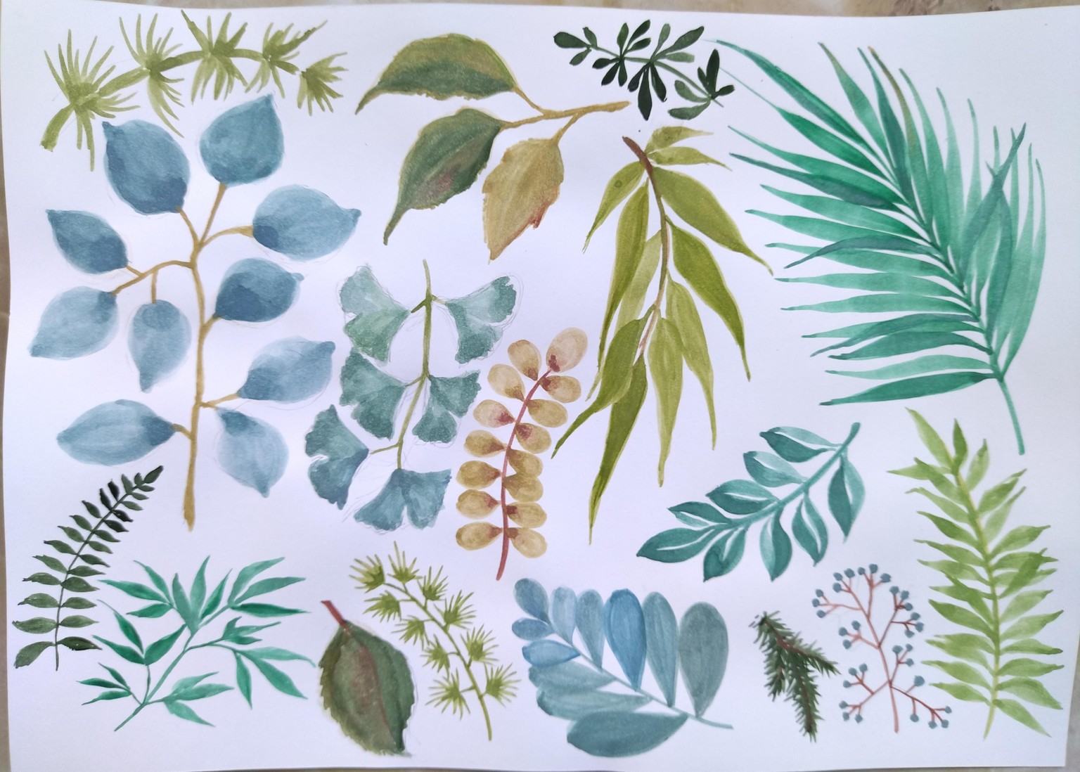 Leaves - image 1 - student project
